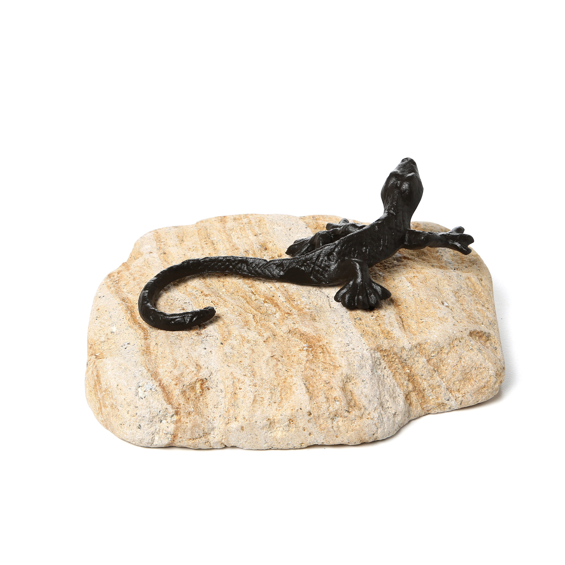 Design Toscano Sun Bathing Lizard Garden Statue & Reviews Wayfair