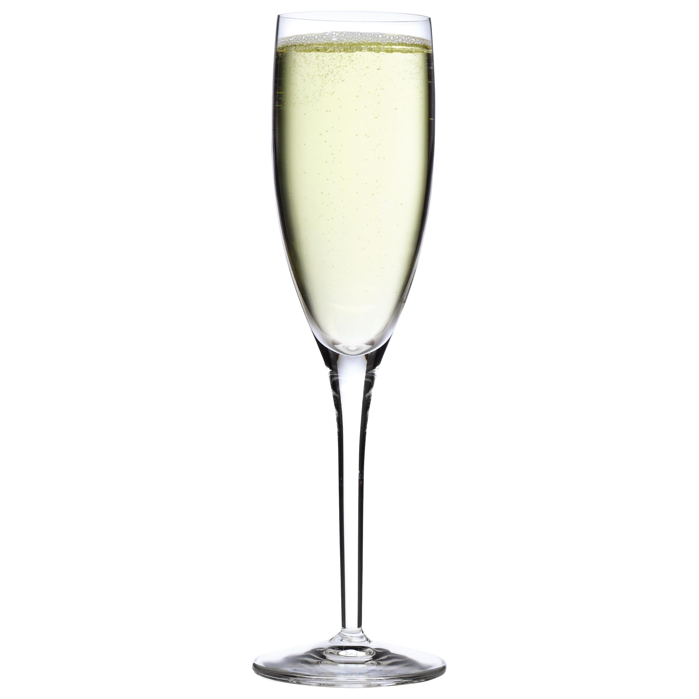 Luigi Bormioli Michelangelo Champagne Flute & Reviews | Wayfair