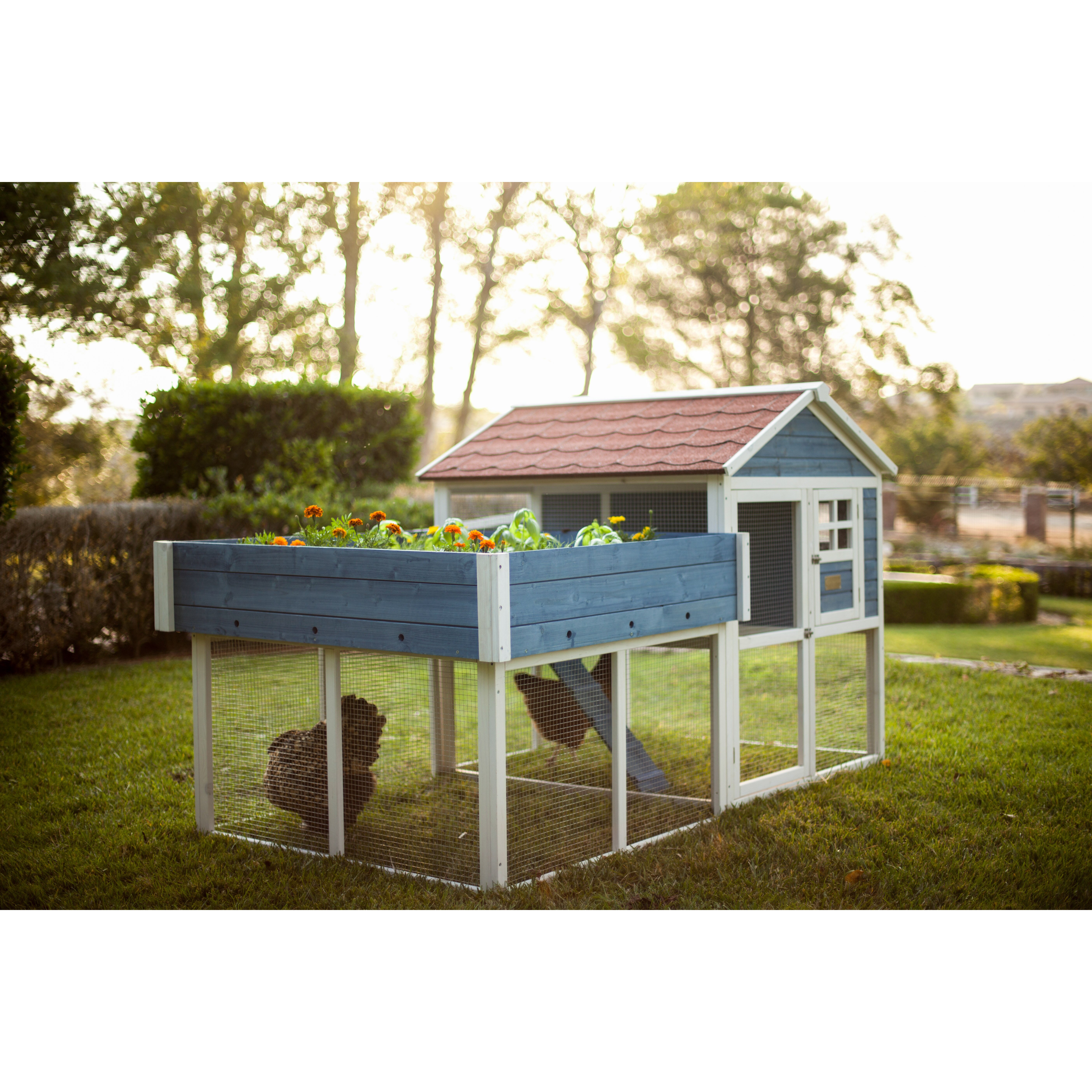 Advantek Pointe Elizabeth Rooftop Garden Chicken Coop Wayfair