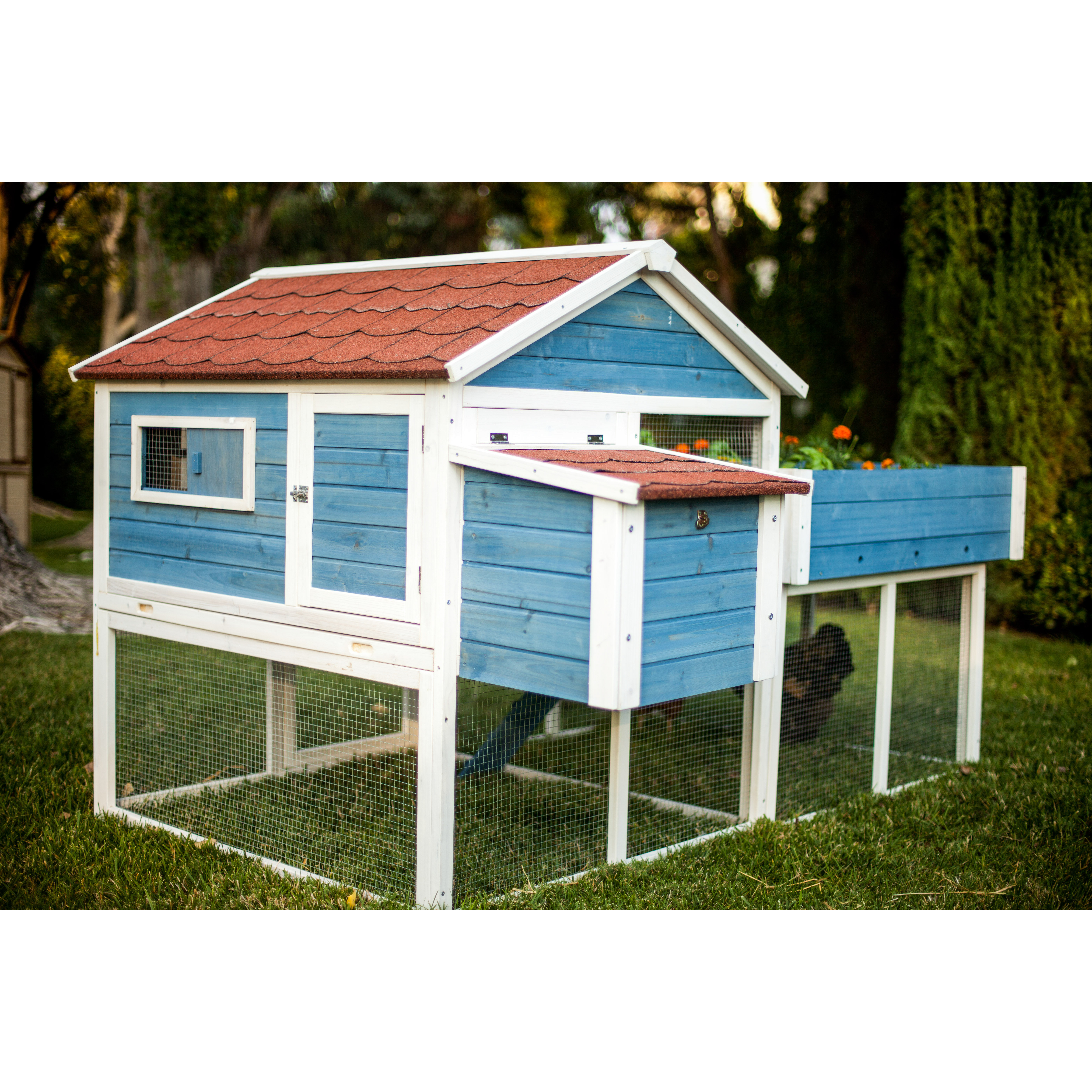 Advantek Pointe Elizabeth Rooftop Garden Chicken Coop Wayfair