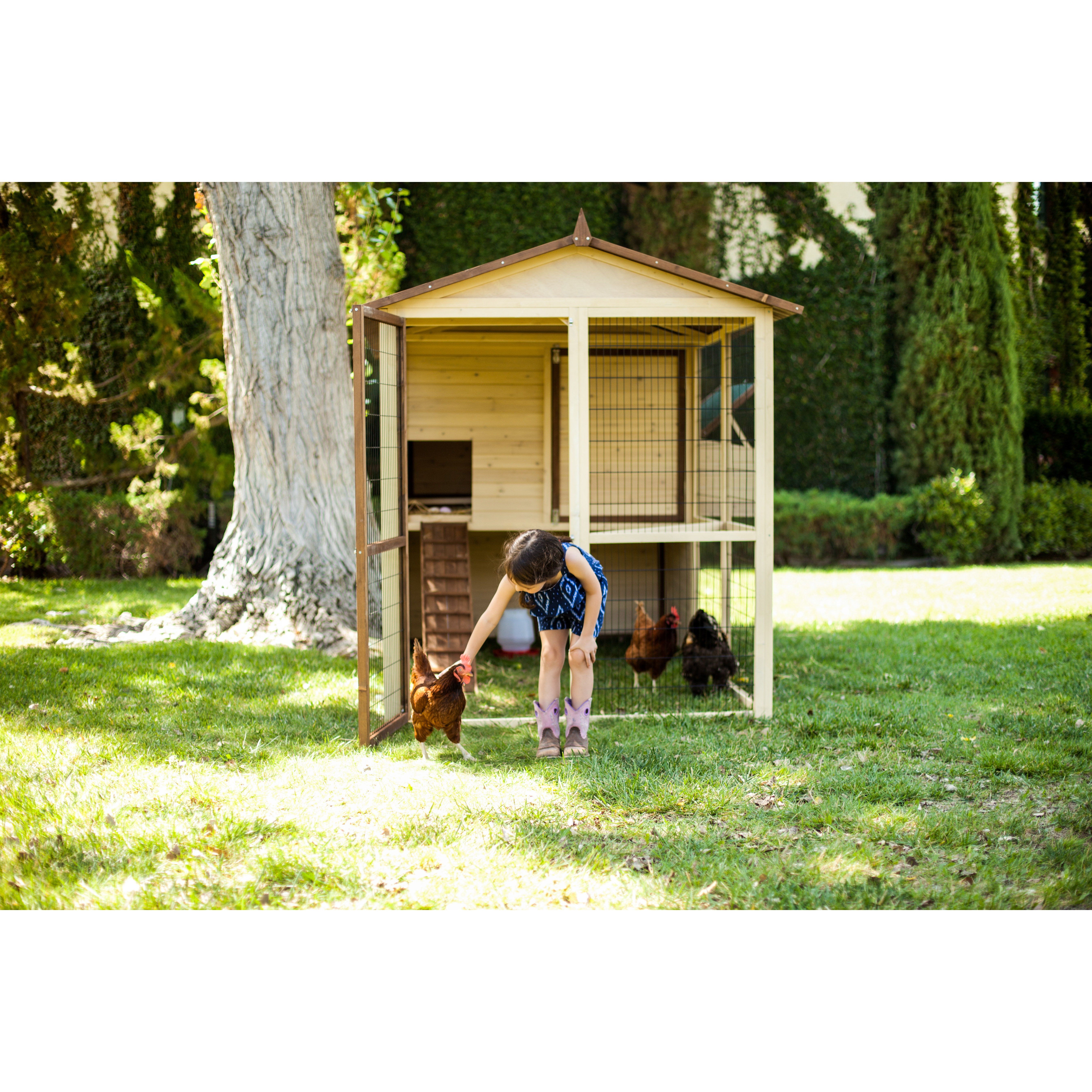 Advantek Arts and Crafts Town House Chicken Coop Wayfair