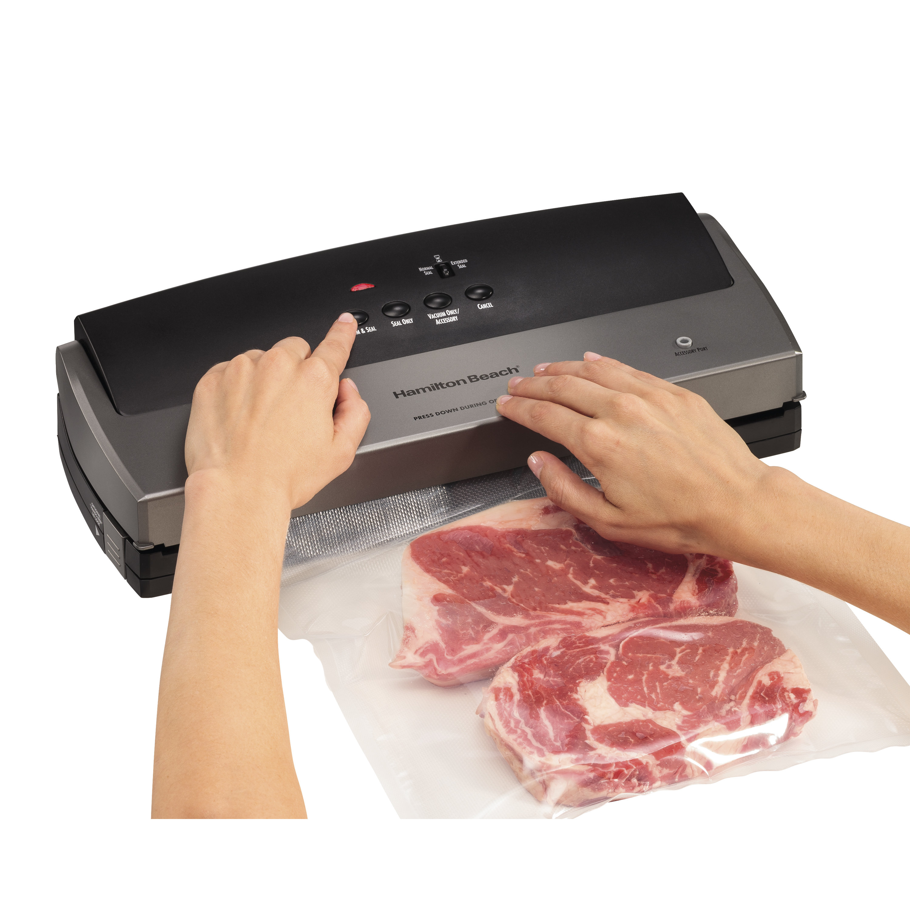 Hamilton Beach NutriFresh Vacuum Sealer & Reviews Wayfair