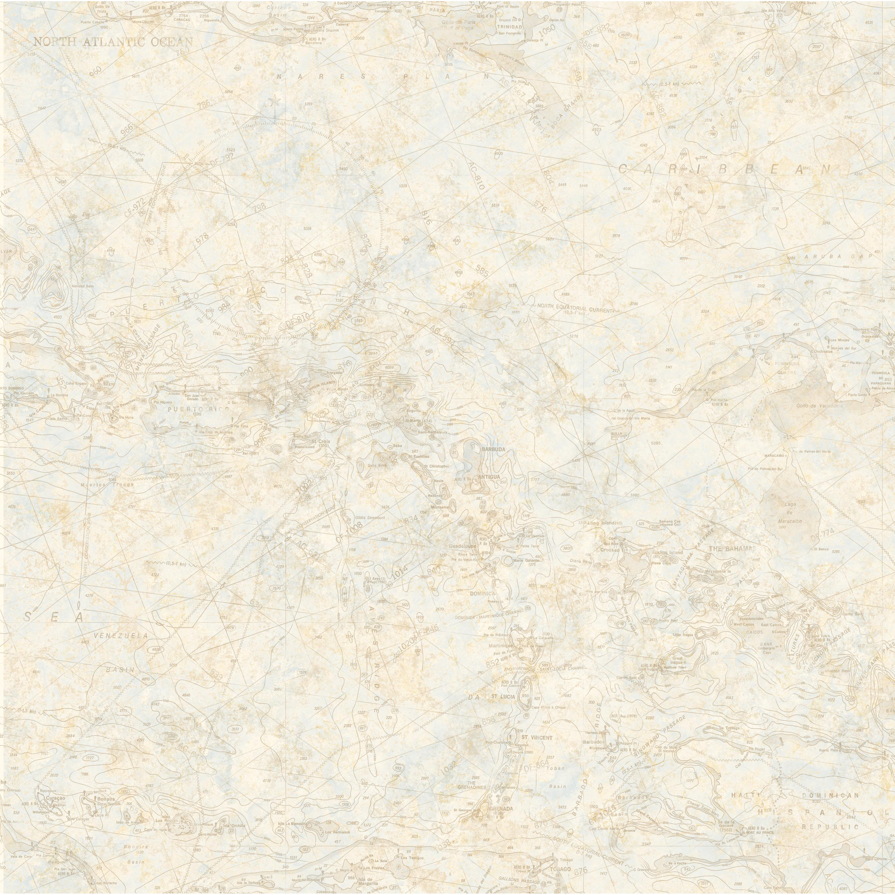 Brewster Home Fashions Borders by Chesapeake Mapped Charts 33' x 20.5