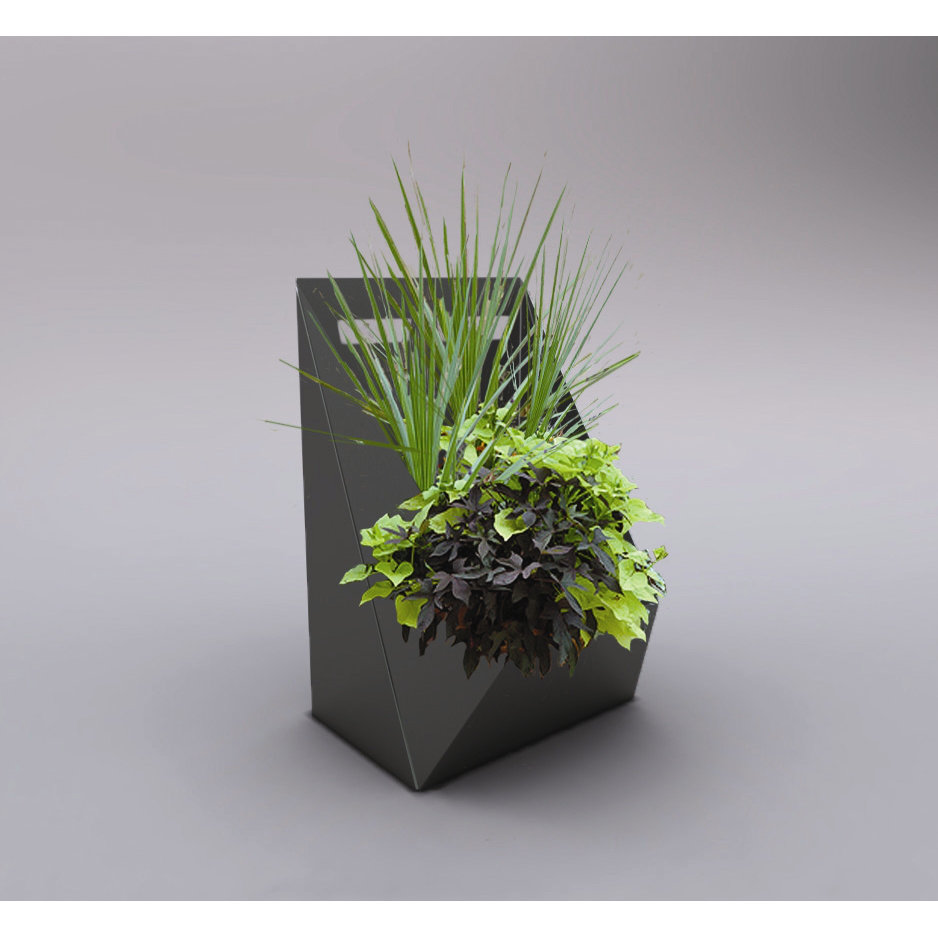 Decorpro Novelty Hanging Planter & Reviews Wayfair