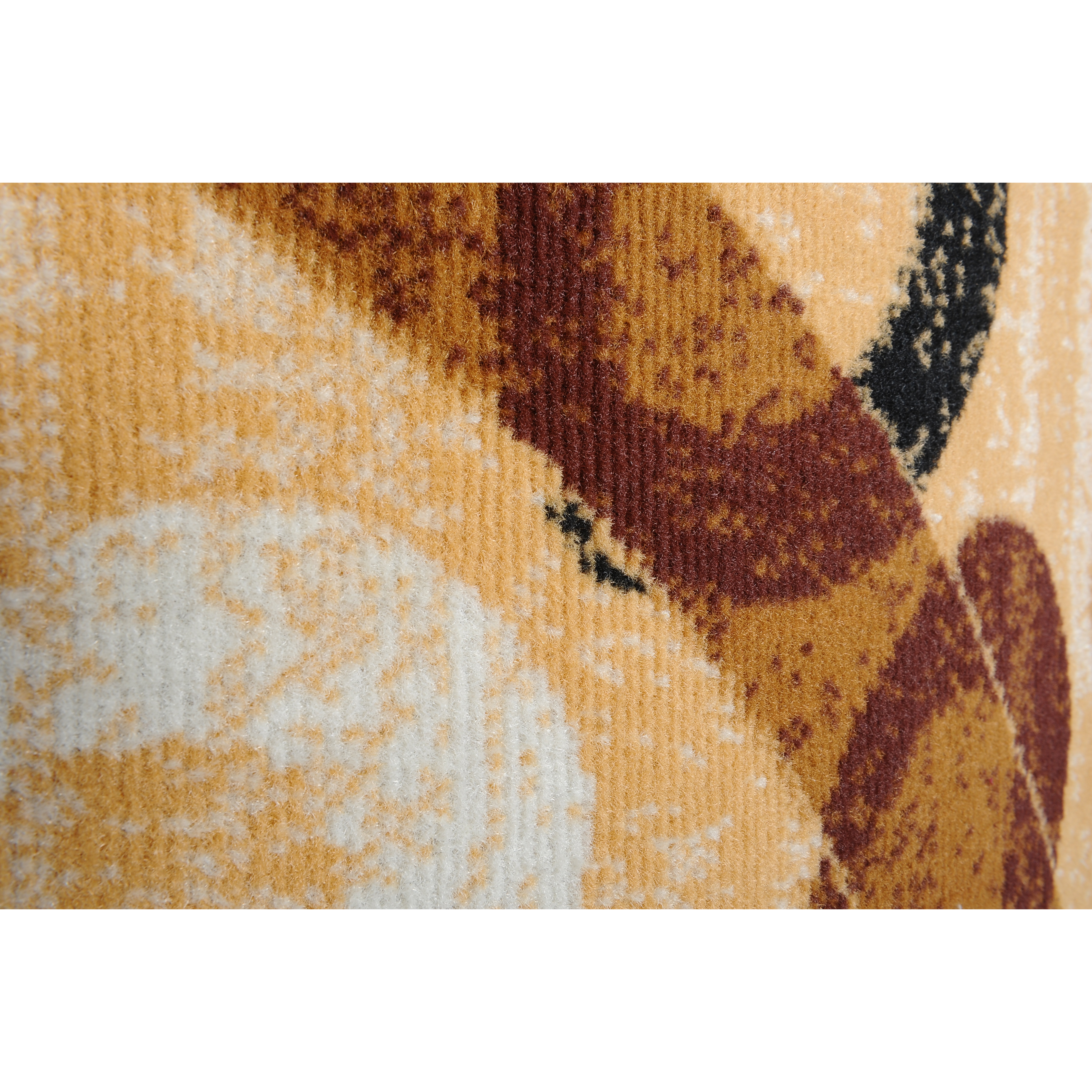 Home Dynamix Premium Area Rug & Reviews Wayfair