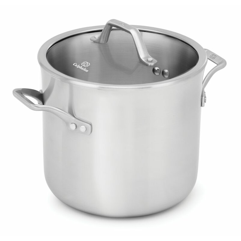 Calphalon Calphalon Signature™ 8-qt.Stock Pot with Lid & Reviews | Wayfair