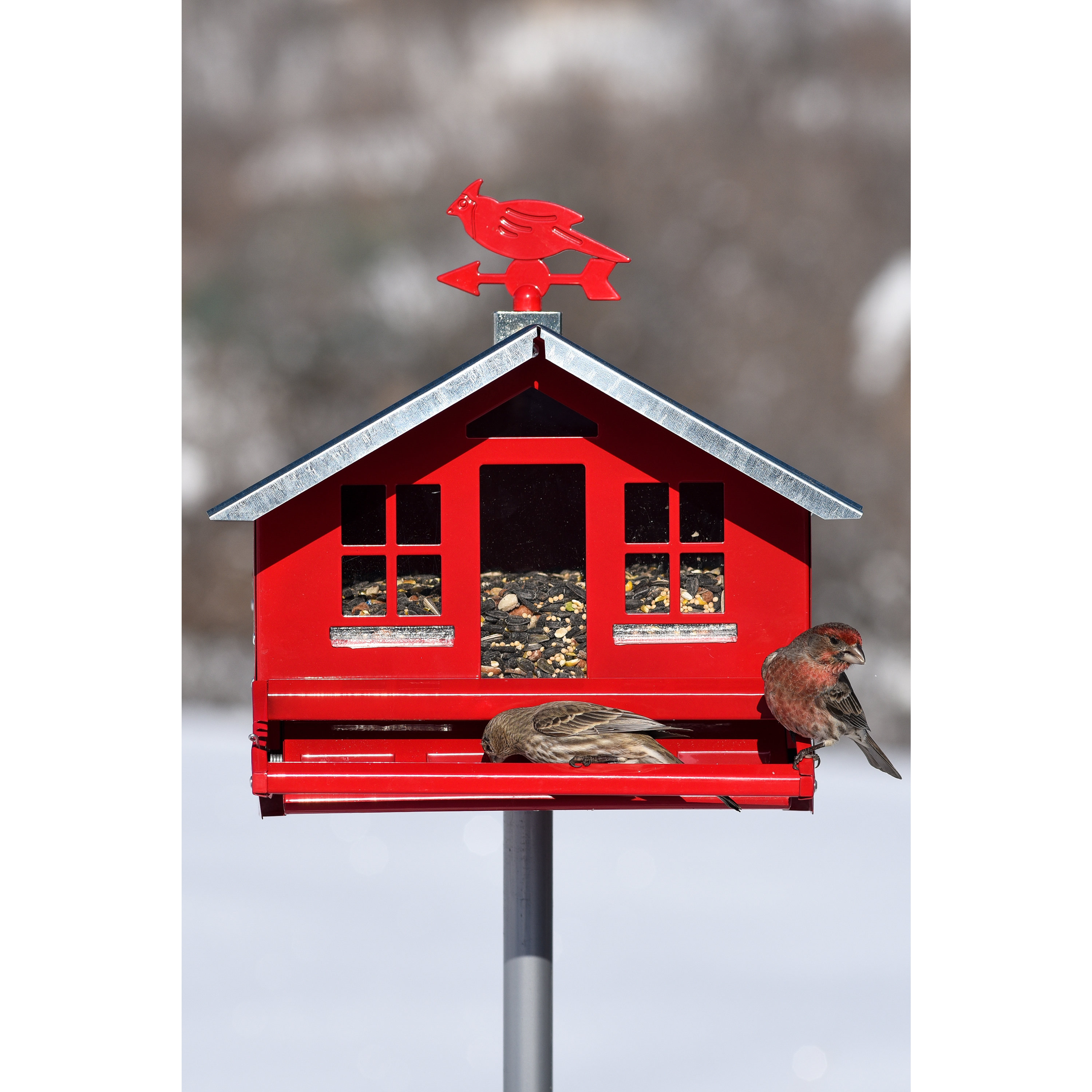Perky Pet SquirrelBeGone Country Style Hopper Bird Feeder & Reviews