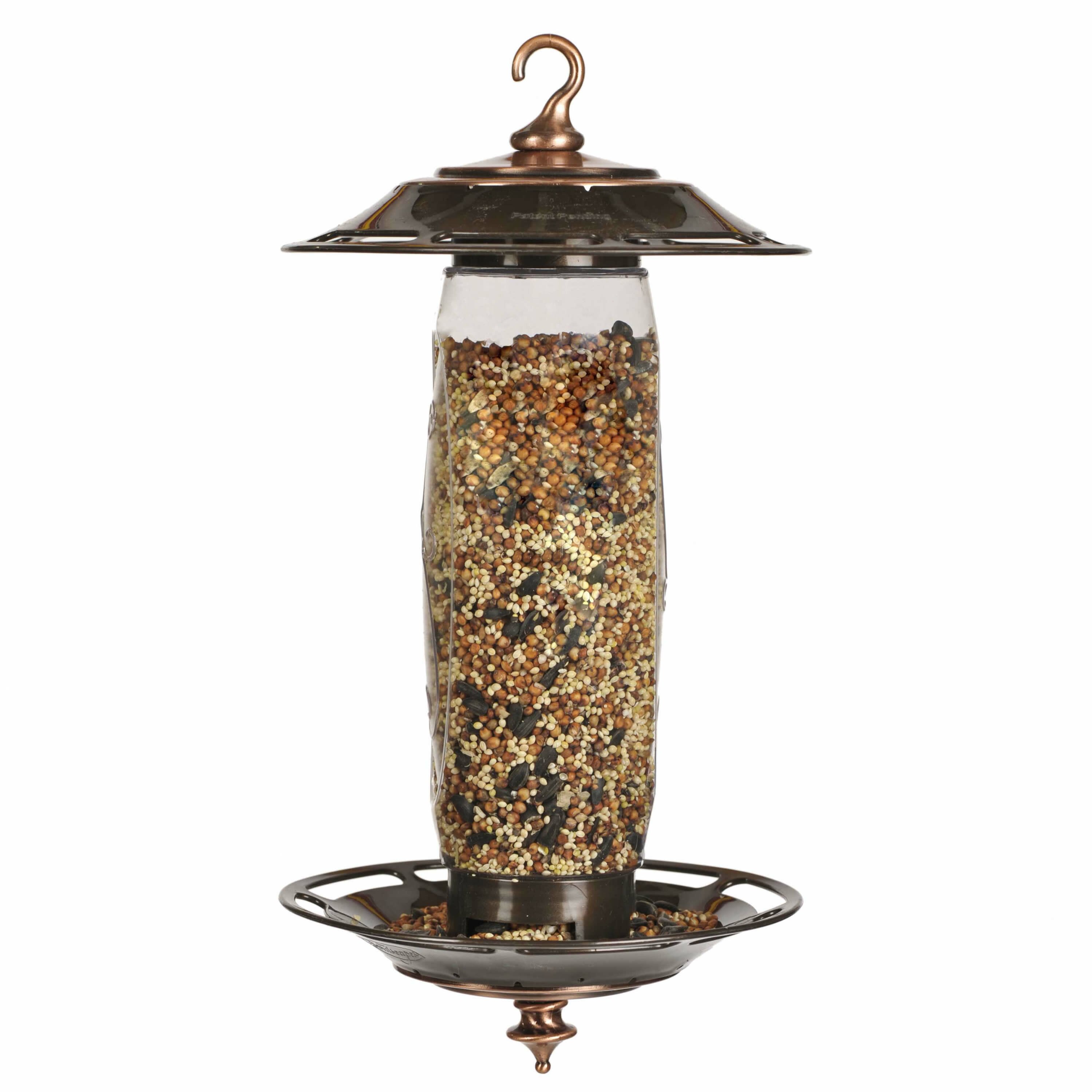 Perky Pet Sip or Seed Hopper Bird Feeder & Reviews | Wayfair