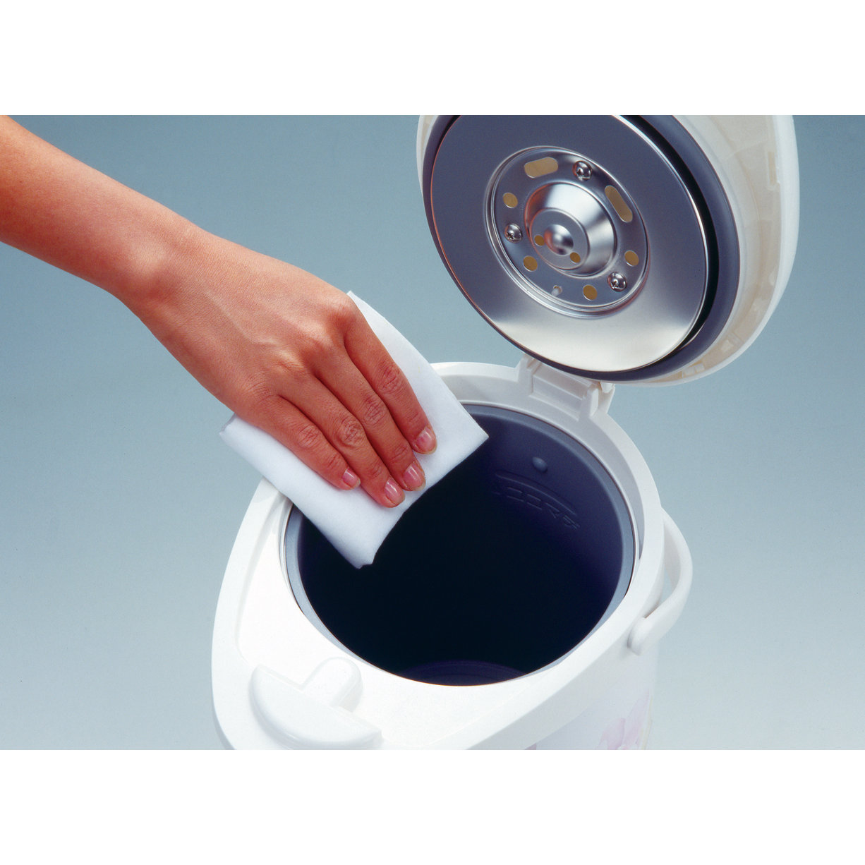 Zojirushi 2.31qt. Super Hot Water Pot & Reviews Wayfair