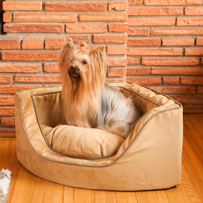 Snoozer Luxury Corner Bolster Dog Bed & Reviews | Wayfair