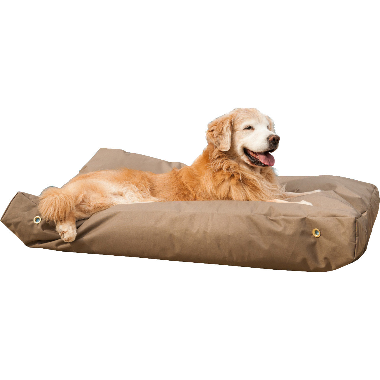 Snoozer Waterproof Pet Bed & Reviews Wayfair