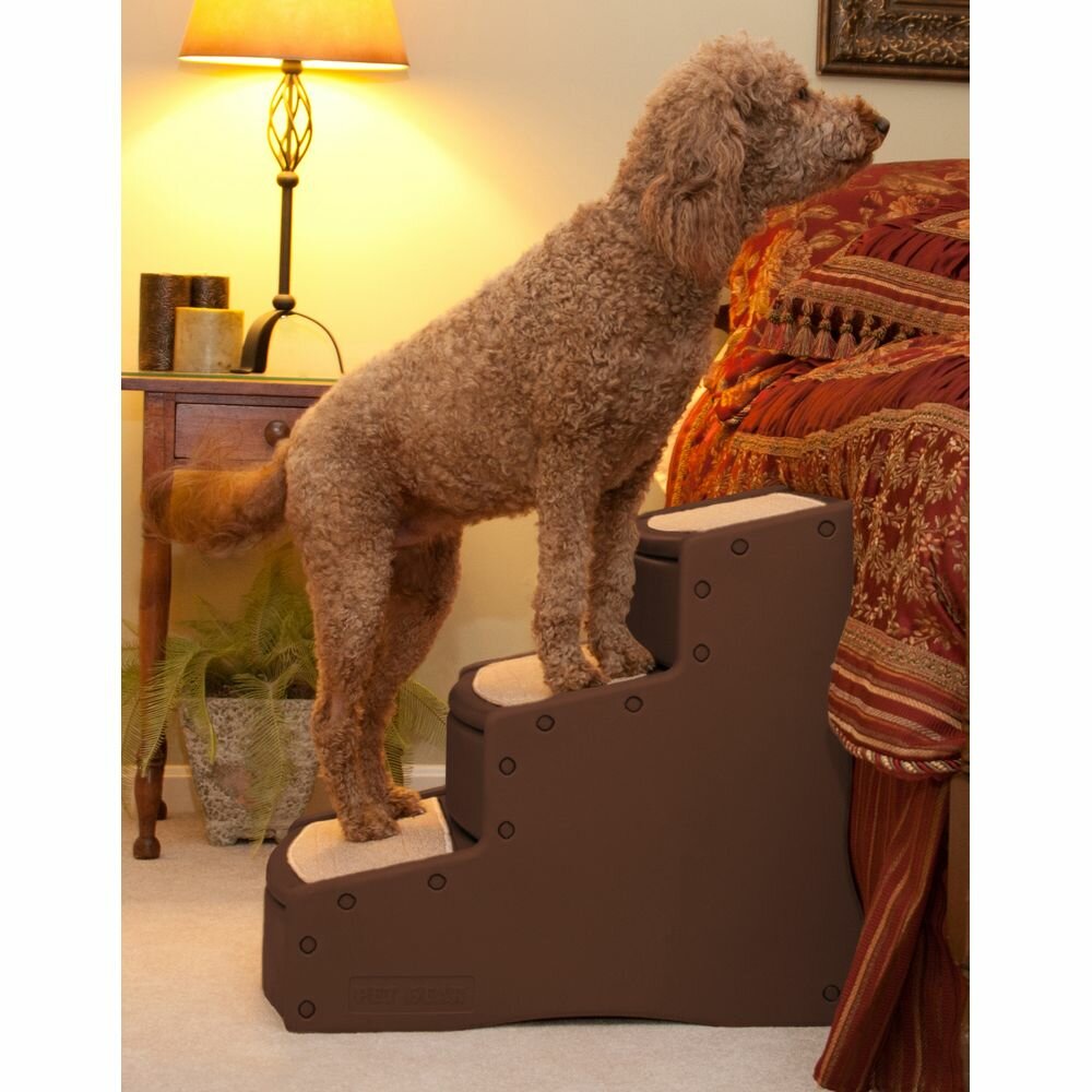 Pet Gear Easy Steps III Extra Wide 3 Step Pet Stair & Reviews Wayfair