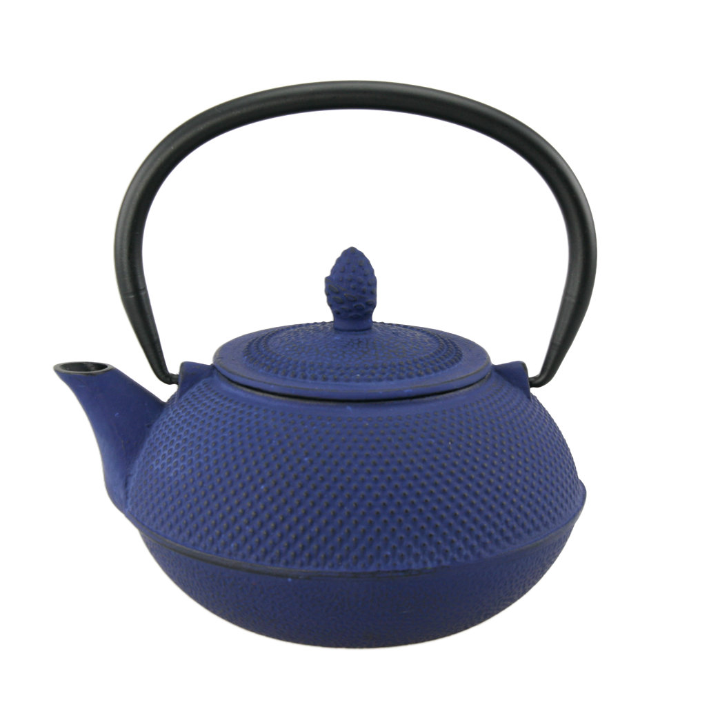 Creative Home Kyusu 0.94qt Cast Iron Teapot & Reviews Wayfair
