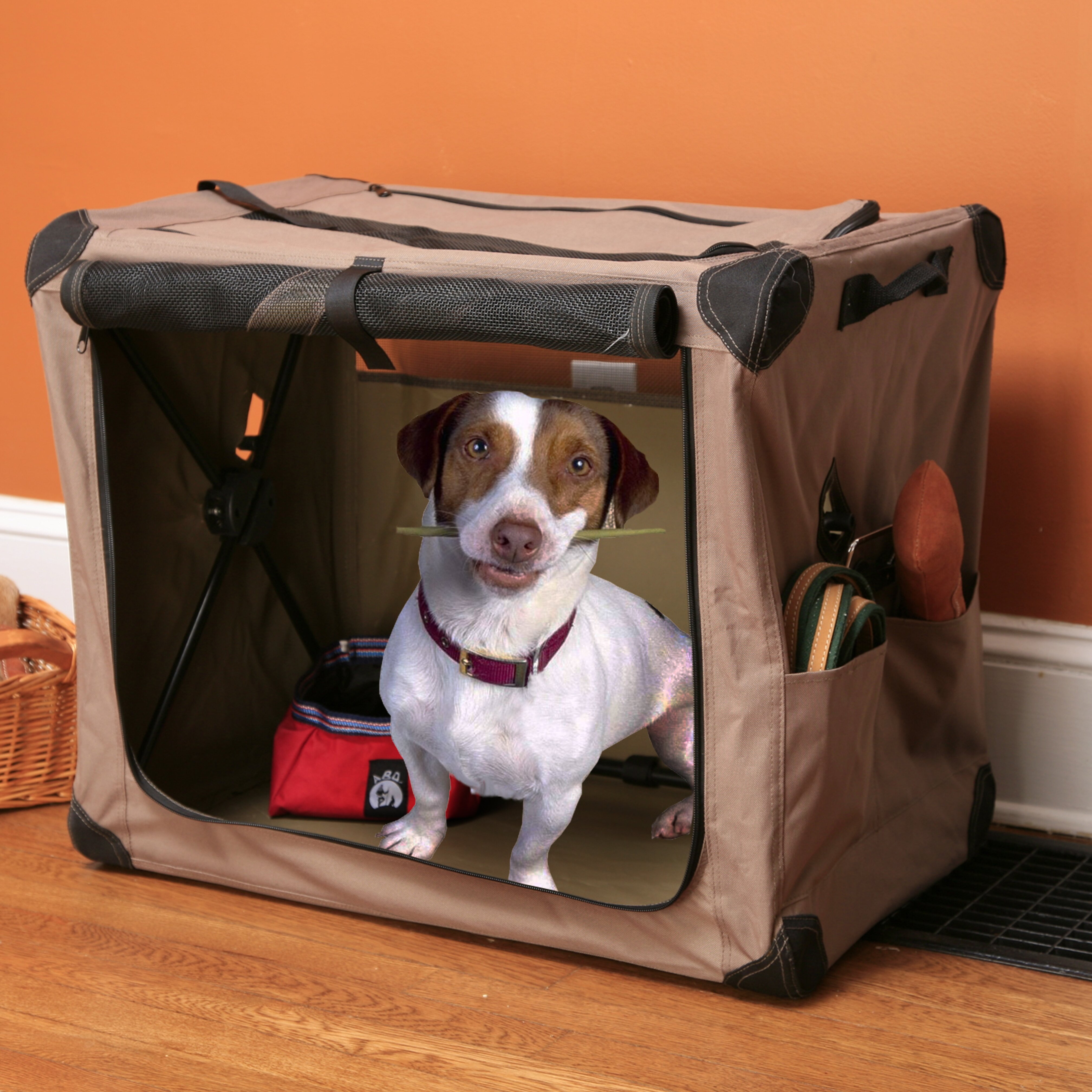 ABO Gear Digs Collapsible Pet Crate & Reviews | Wayfair