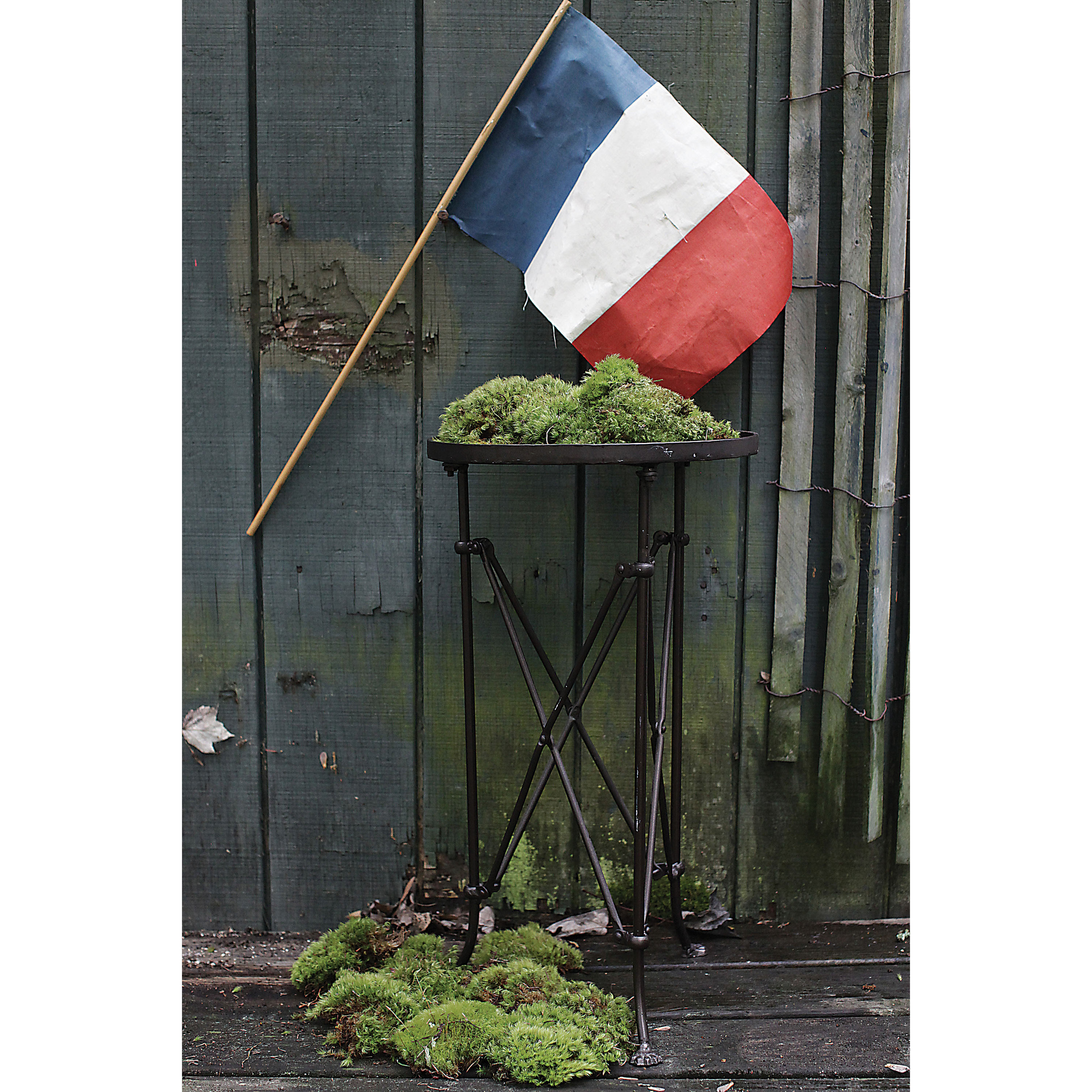 Creative CoOp Terrain Pedestal Plant Table & Reviews Wayfair