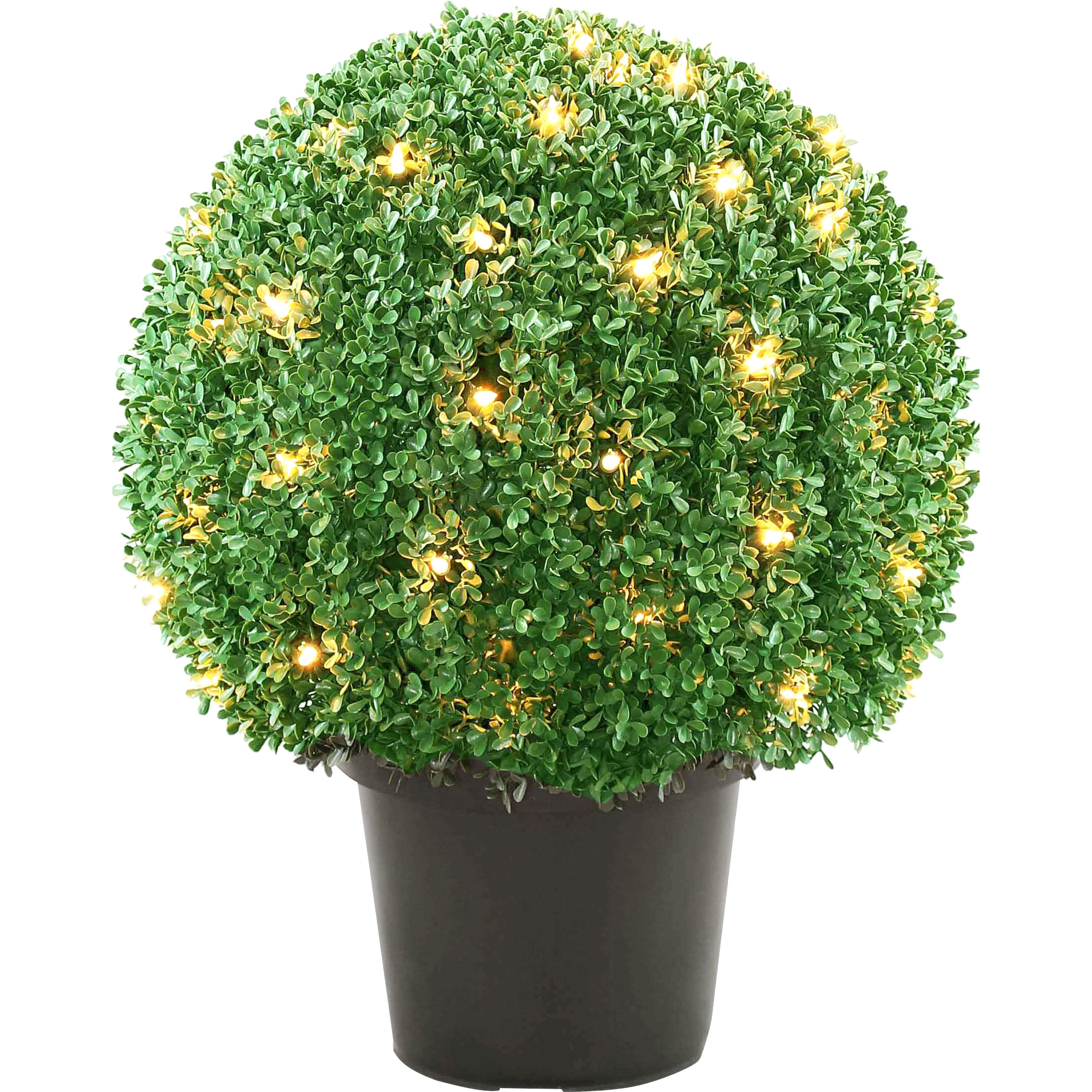 National Tree Co. Pre-Lit Mini Boxwood Ball Topiary in Pot ...