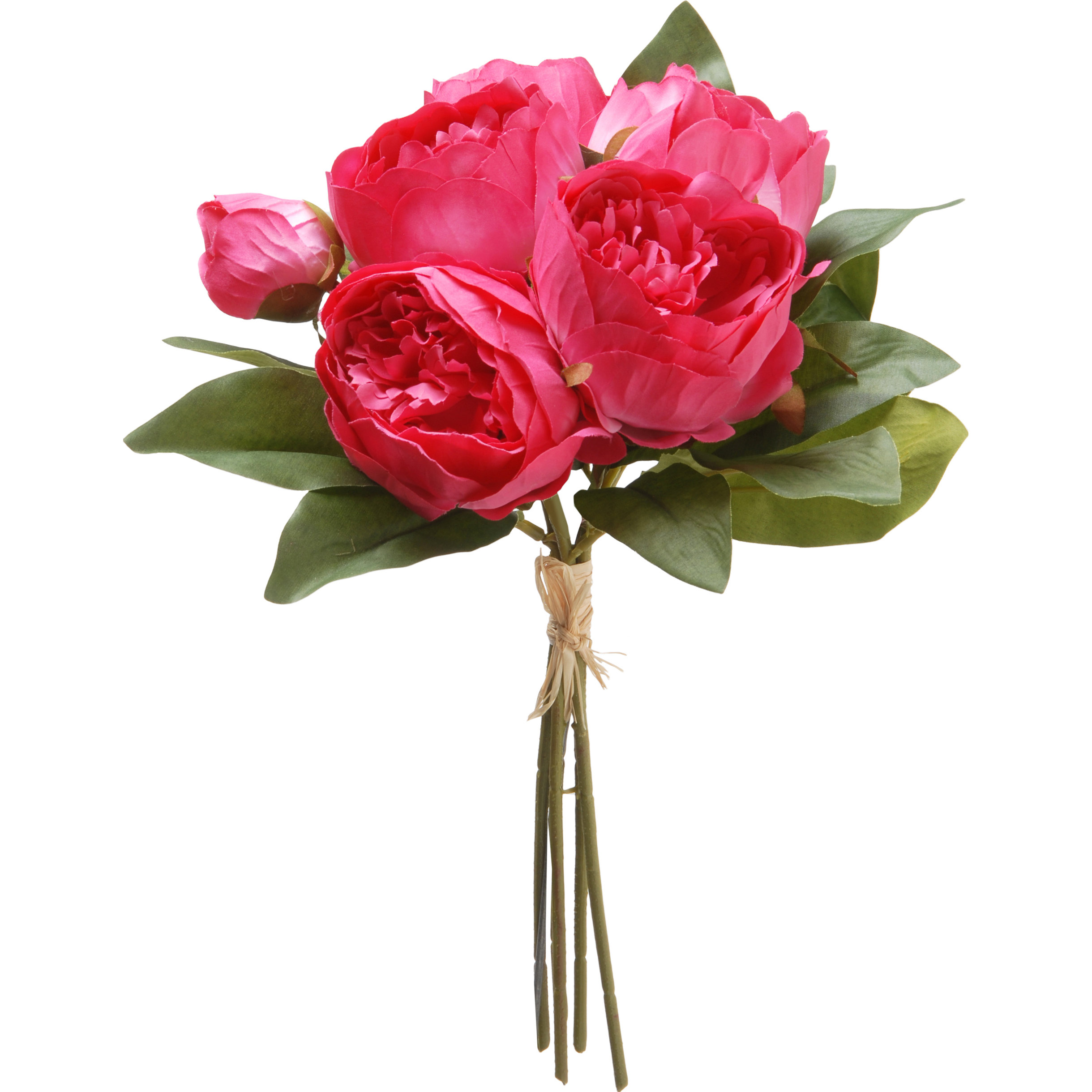 National Tree Co. Peony Bundle & Reviews Wayfair