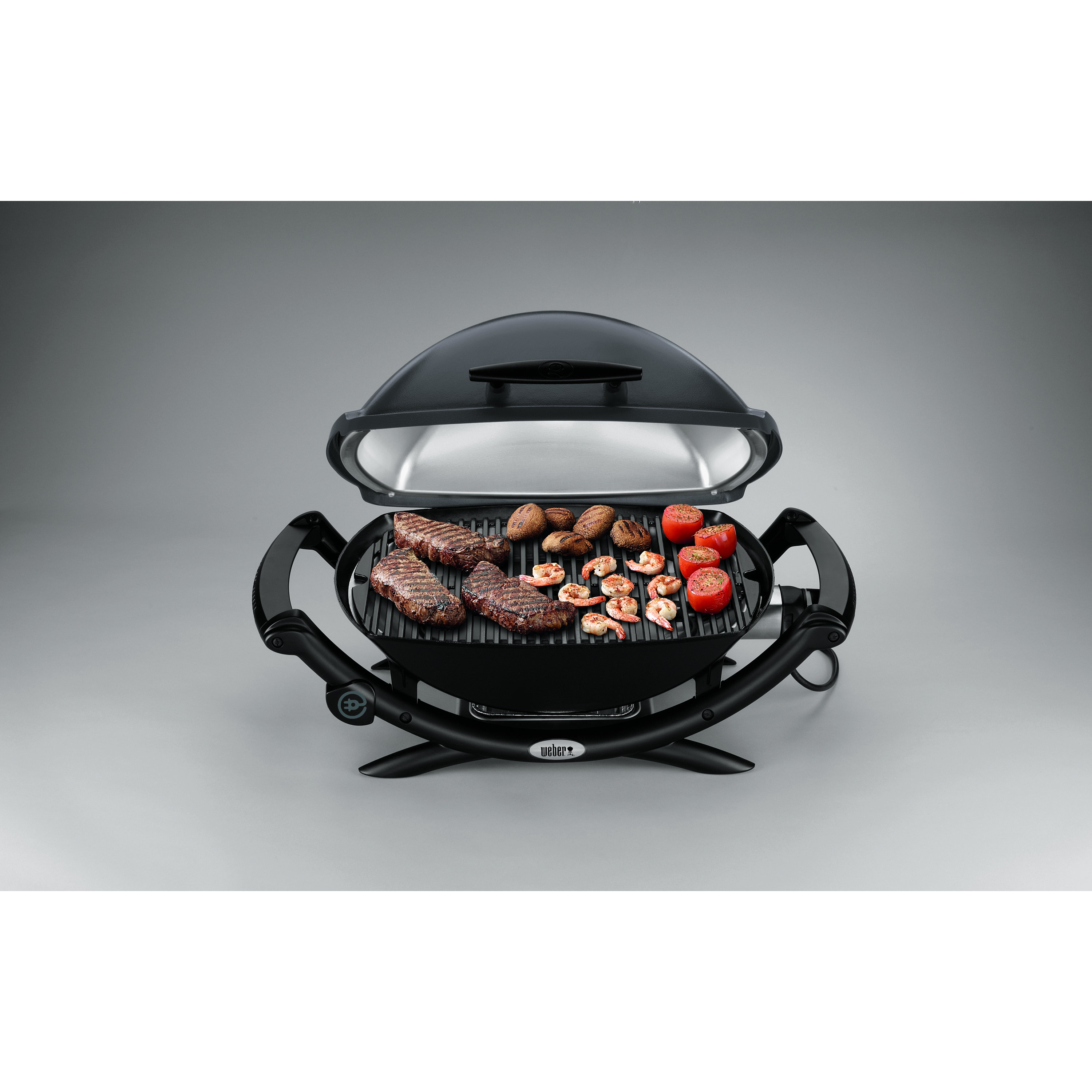 er Q® Series 2400 Portable Electric Grill & Reviews Wayfair