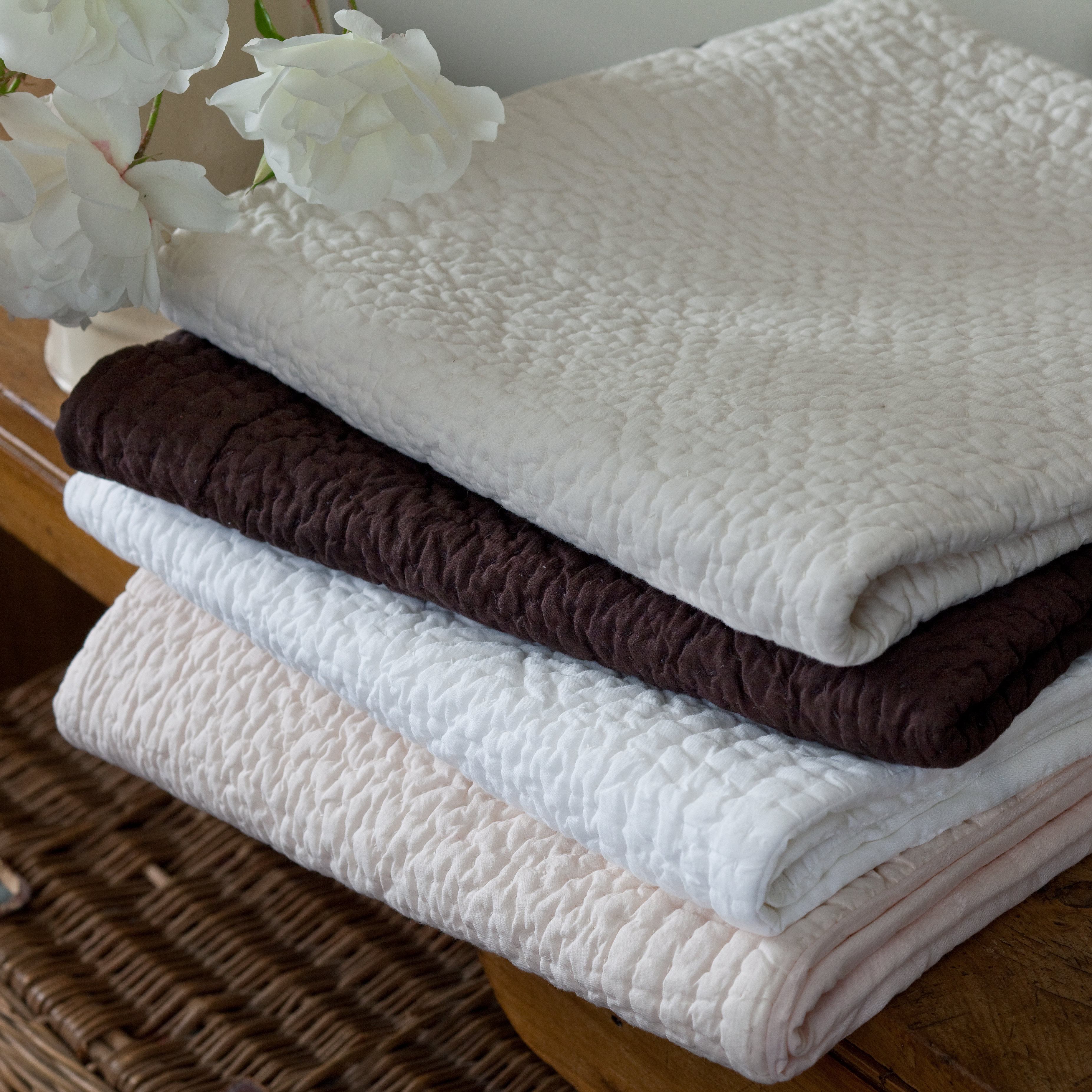 Taylor Linens Grace Quilt Collection & Reviews Wayfair