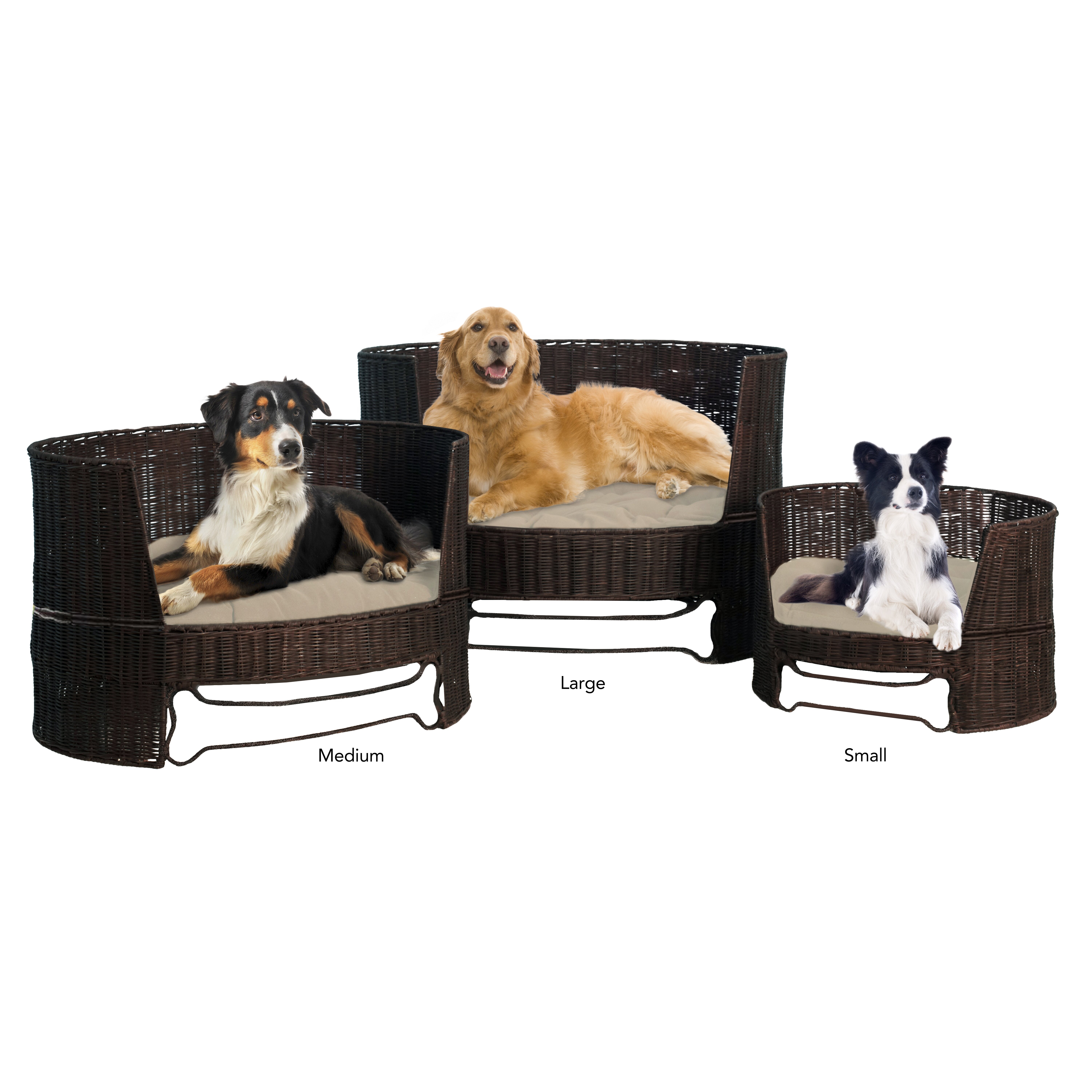 The Refined Canine Dog Day Bed with Outdoor Cushion & Reviews Wayfair