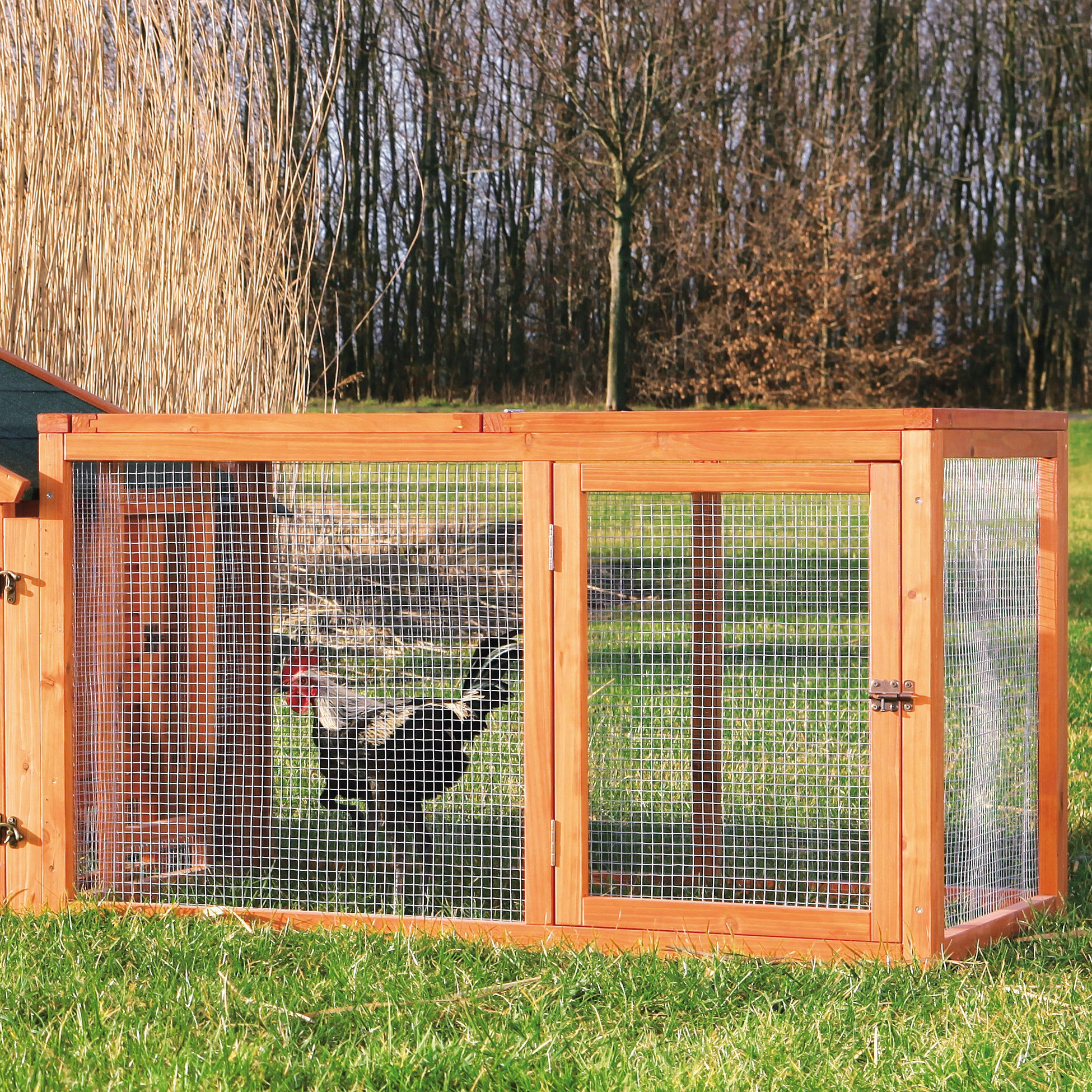 Trixie Trixie Outdoor Chicken Run with Mesh Cover & Reviews Wayfair