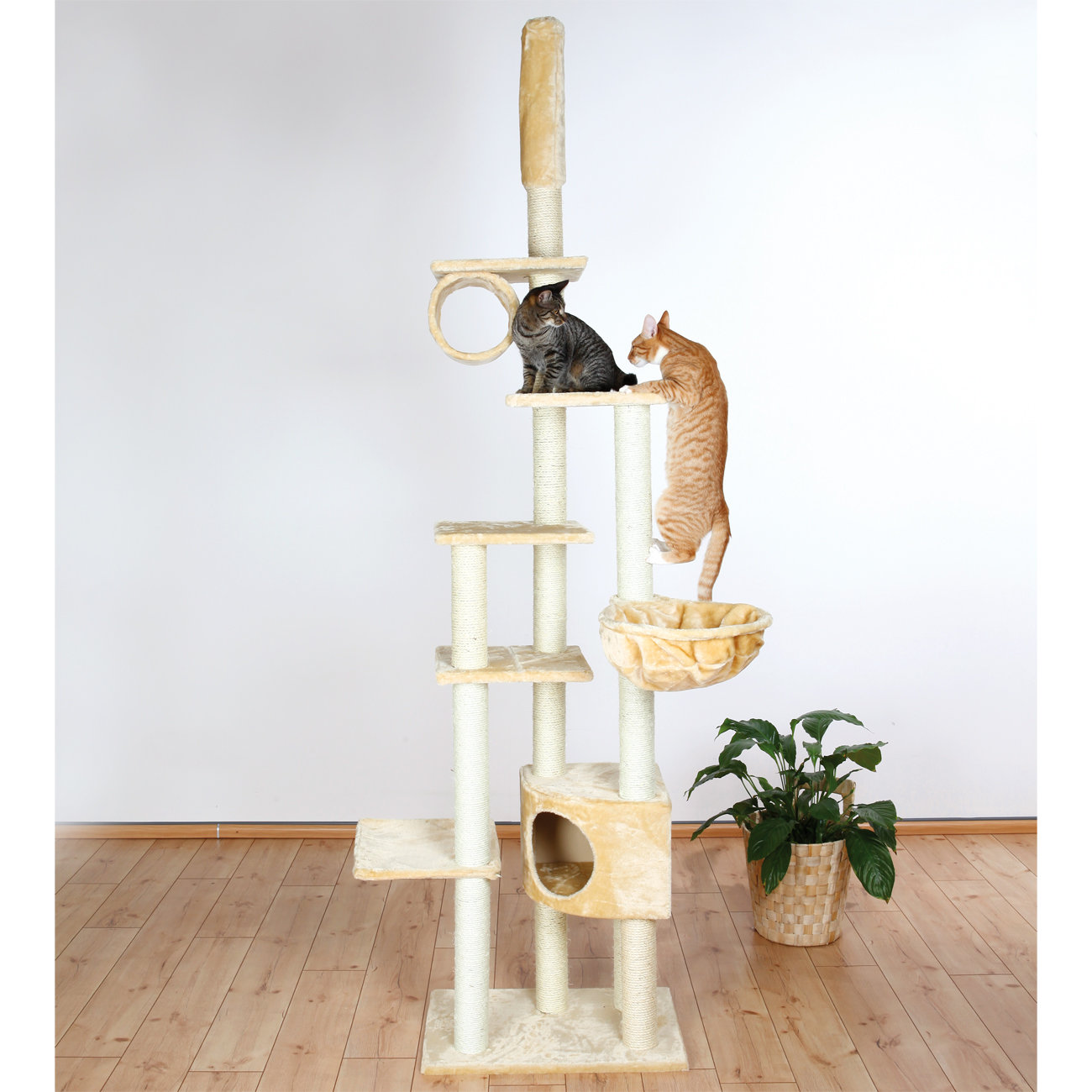 Trixie 106" Madrid Cat Tree & Reviews Wayfair