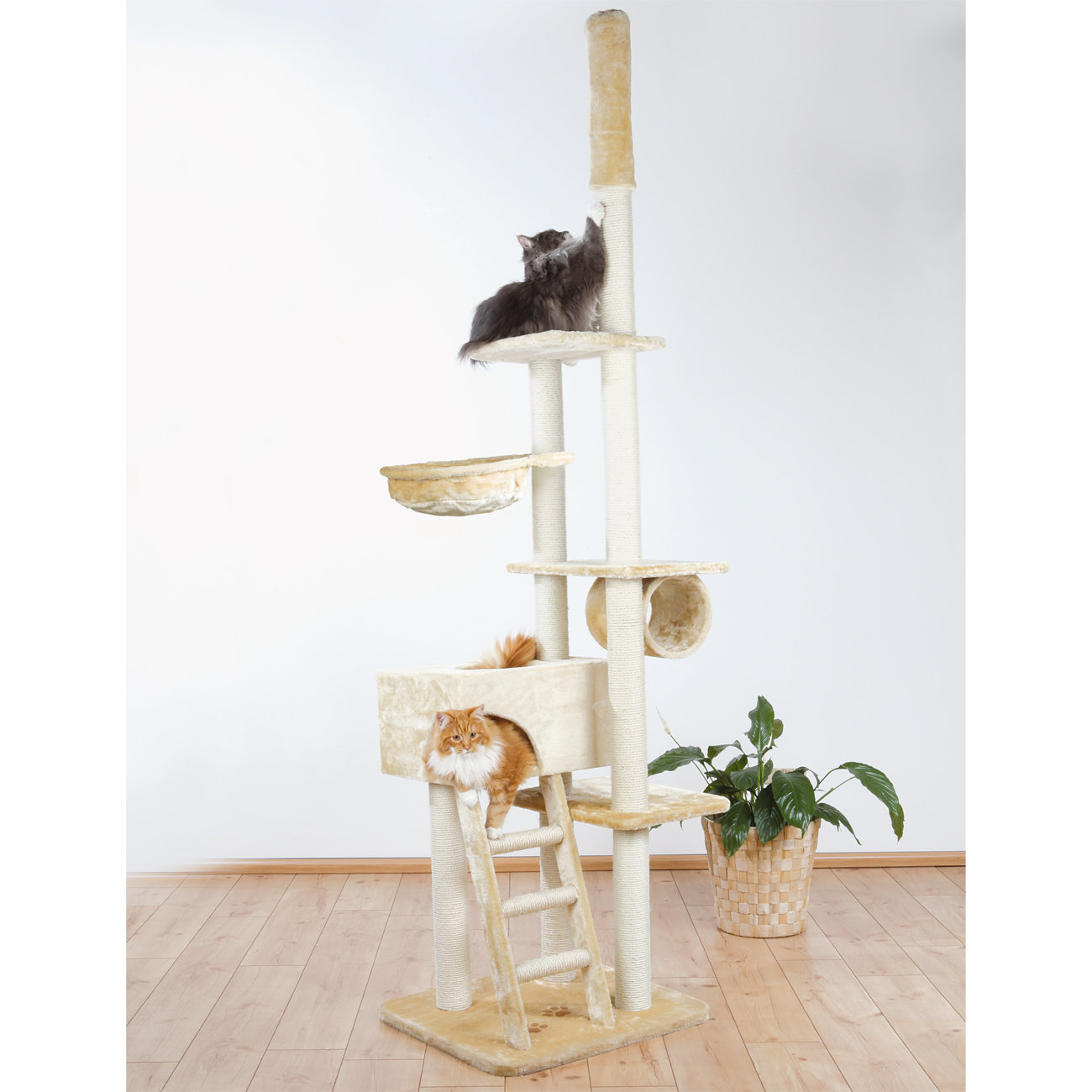 Trixie 102" Zaragoza Cat Tree & Reviews Wayfair