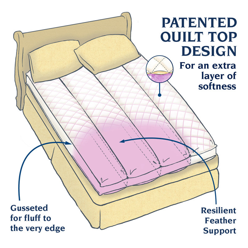 Pacific Coast Feather Euro Rest 100 Cotton Feather Bed & Reviews Wayfair