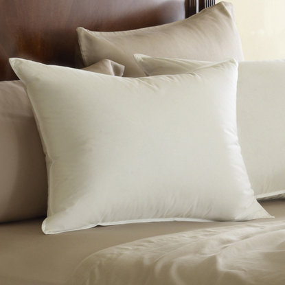 Pacific Coast Feather Euro Feather Pillow & Reviews | Wayfair