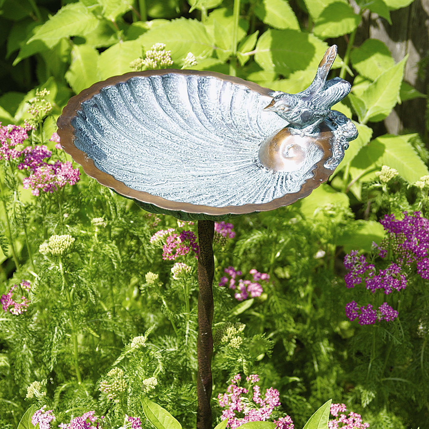 ACHLA Scallop Shell Bird Bath and Feeder & Reviews Wayfair