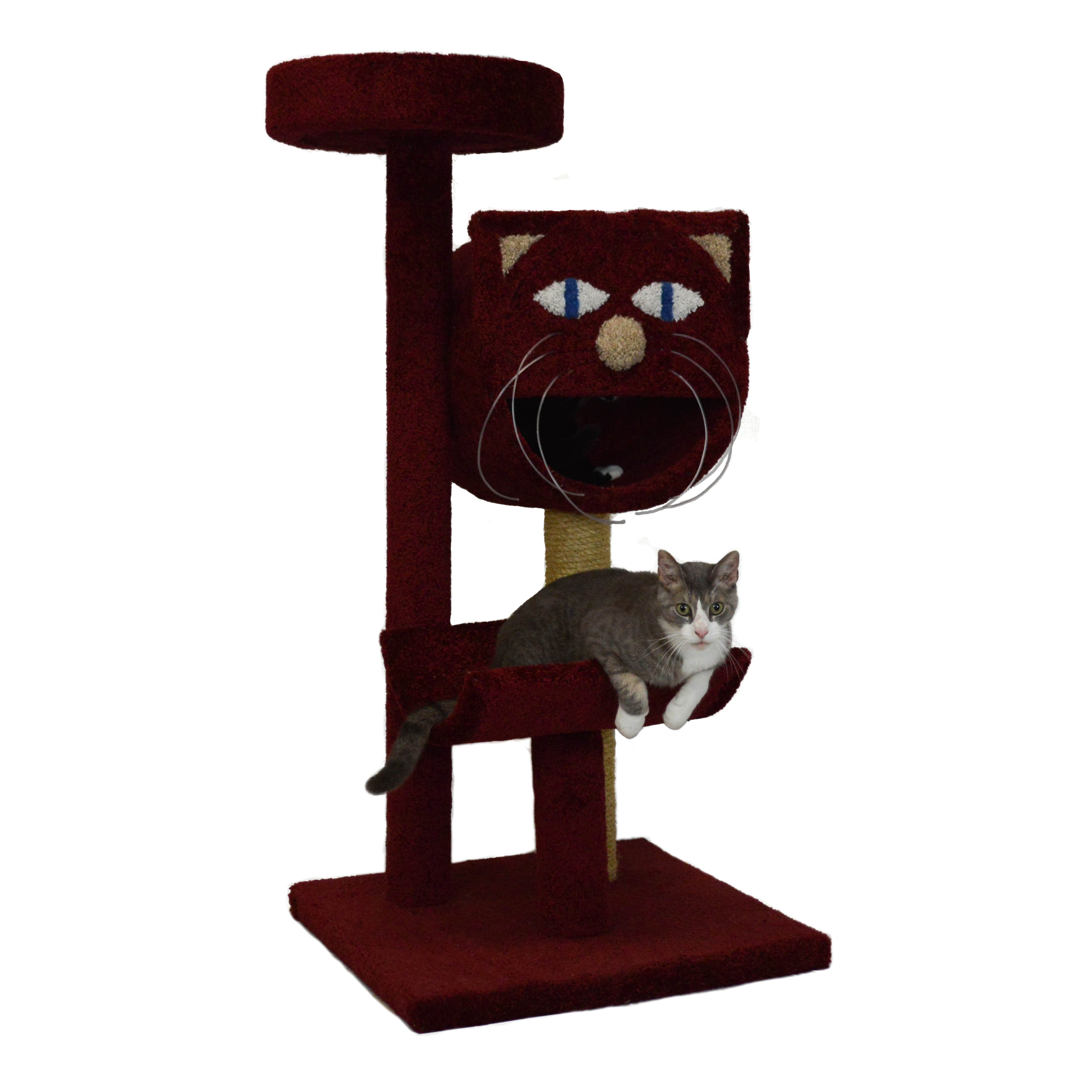 Molly and Friends 54" Bed, Cave and Cradle Cat Tree & Reviews Wayfair