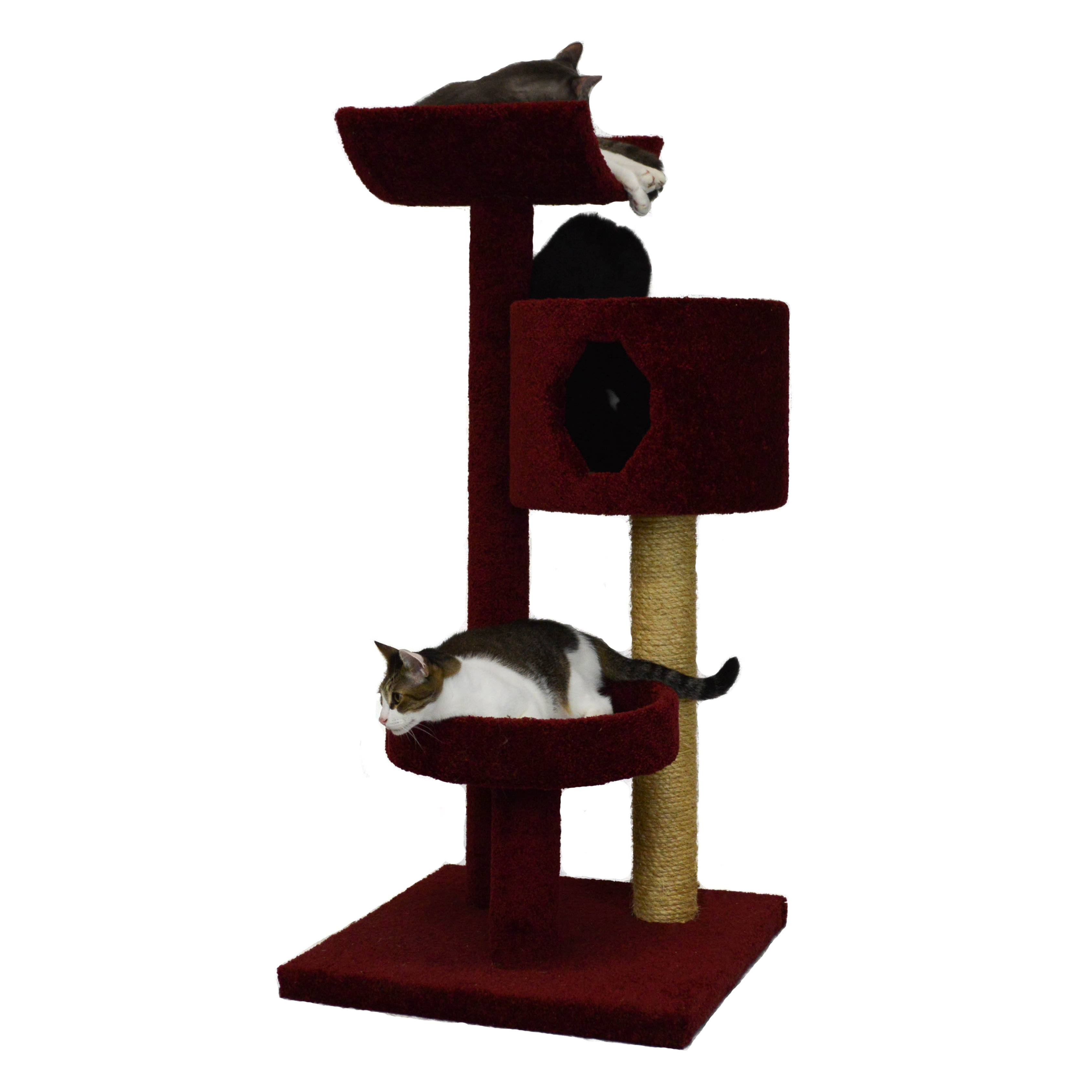 small cat cradle condo small cat cradle condo