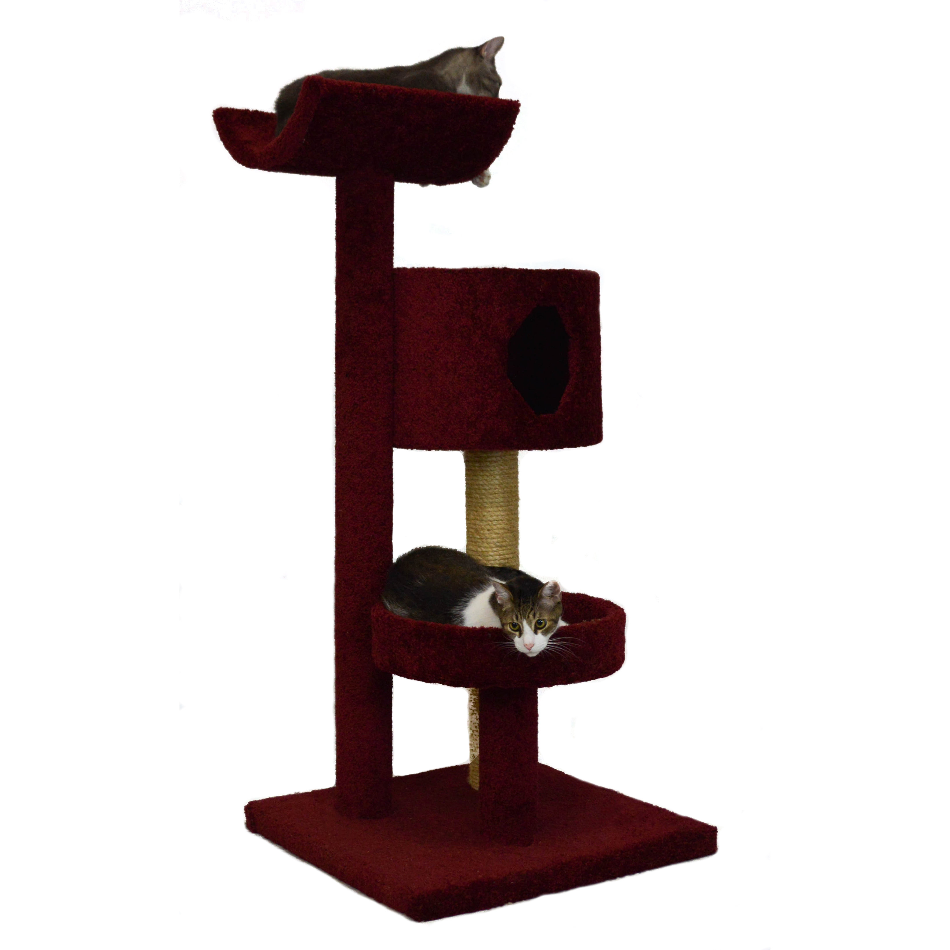 Molly and Friends 54" Bed, Cradle and Condo Cat Condo & Reviews Wayfair