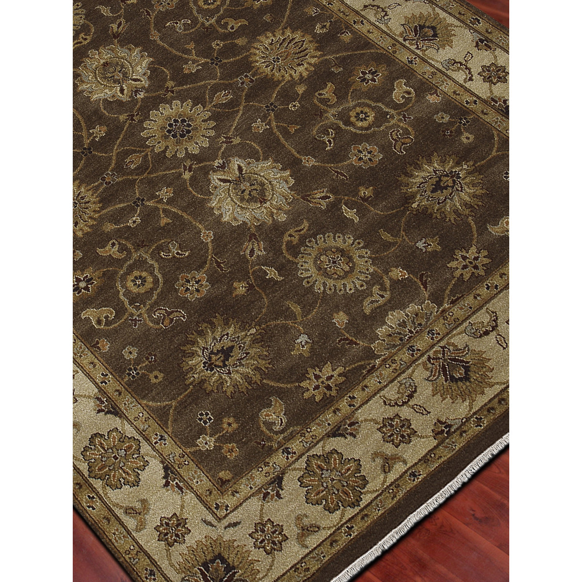 AMER Rugs Oasis Chocolate/Beige Siwa Area Rug Wayfair