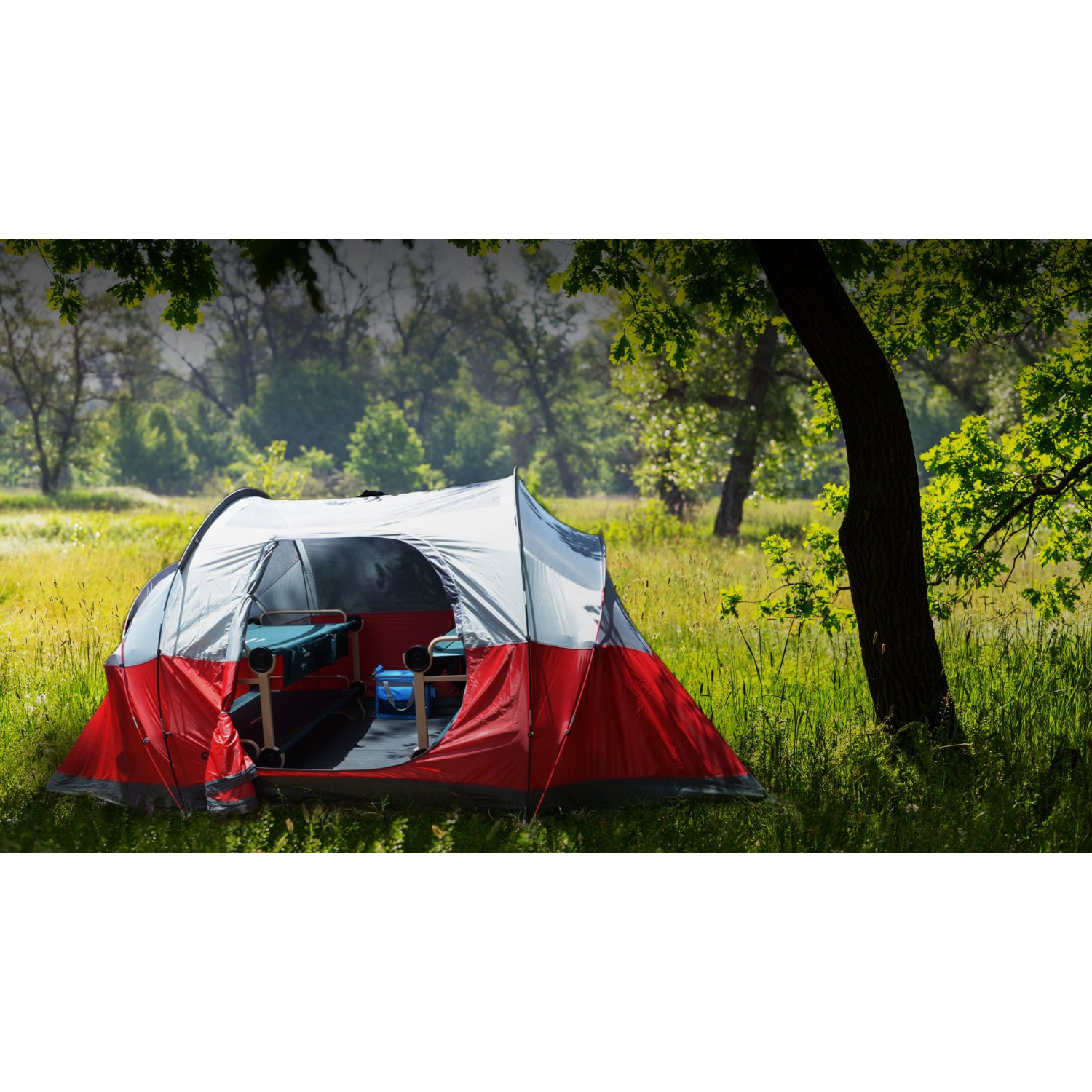 Disco Bed CamOBunk Bed with 2 Organizer Leg Extension Wayfair