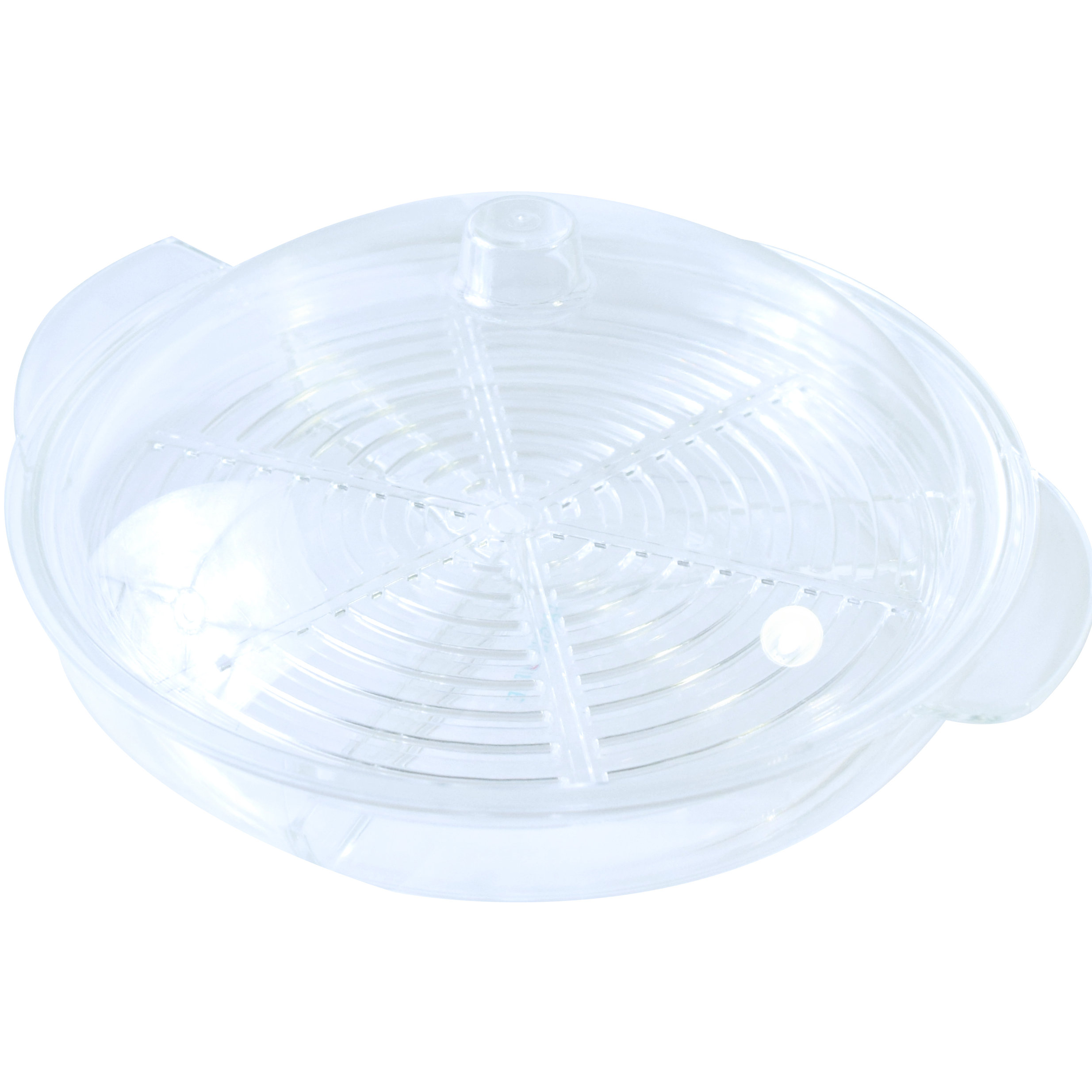 Frigidaire Chilled Serving Platter With Lid & Reviews Wayfair