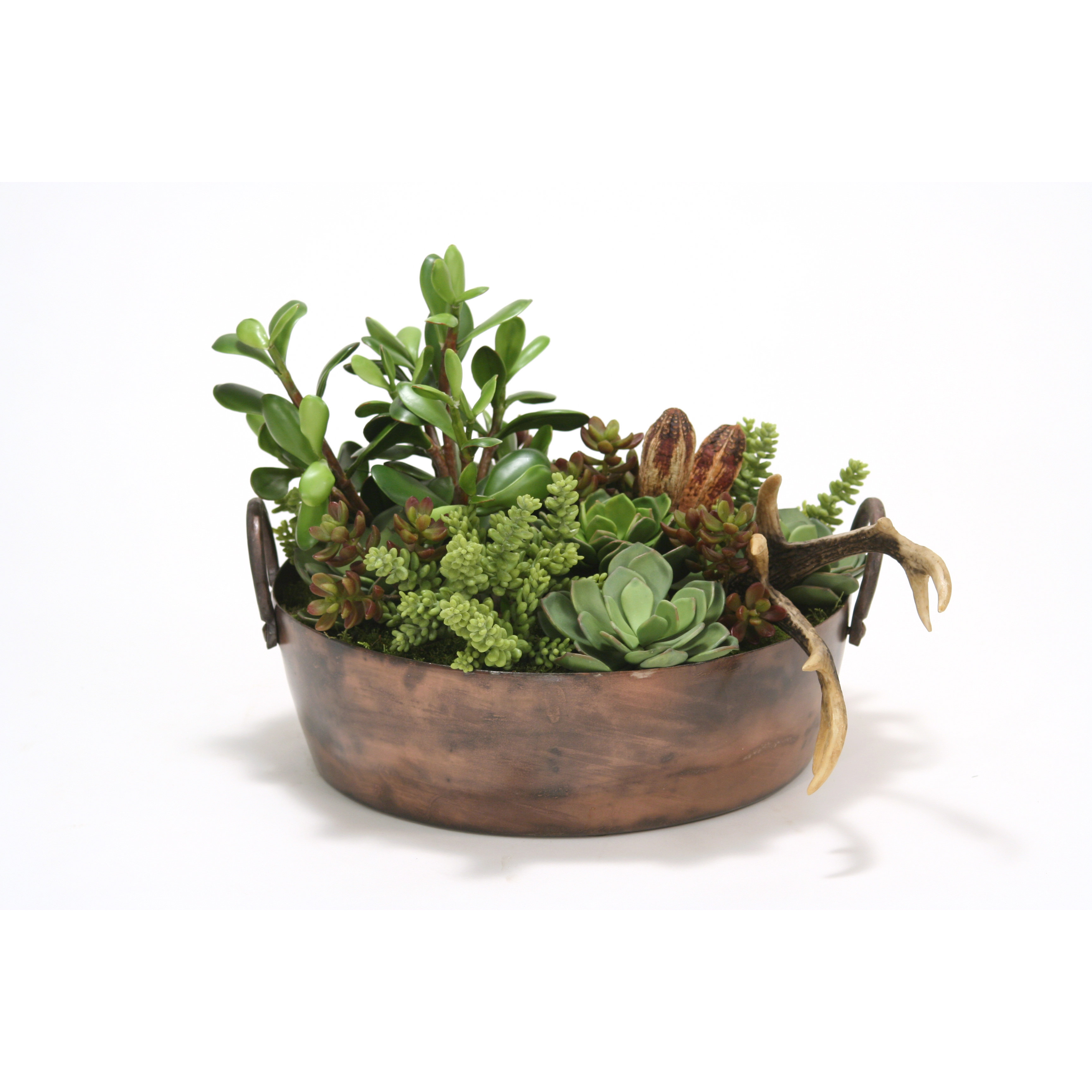 Distinctive Designs Succulent Mix Desk Top Plant in