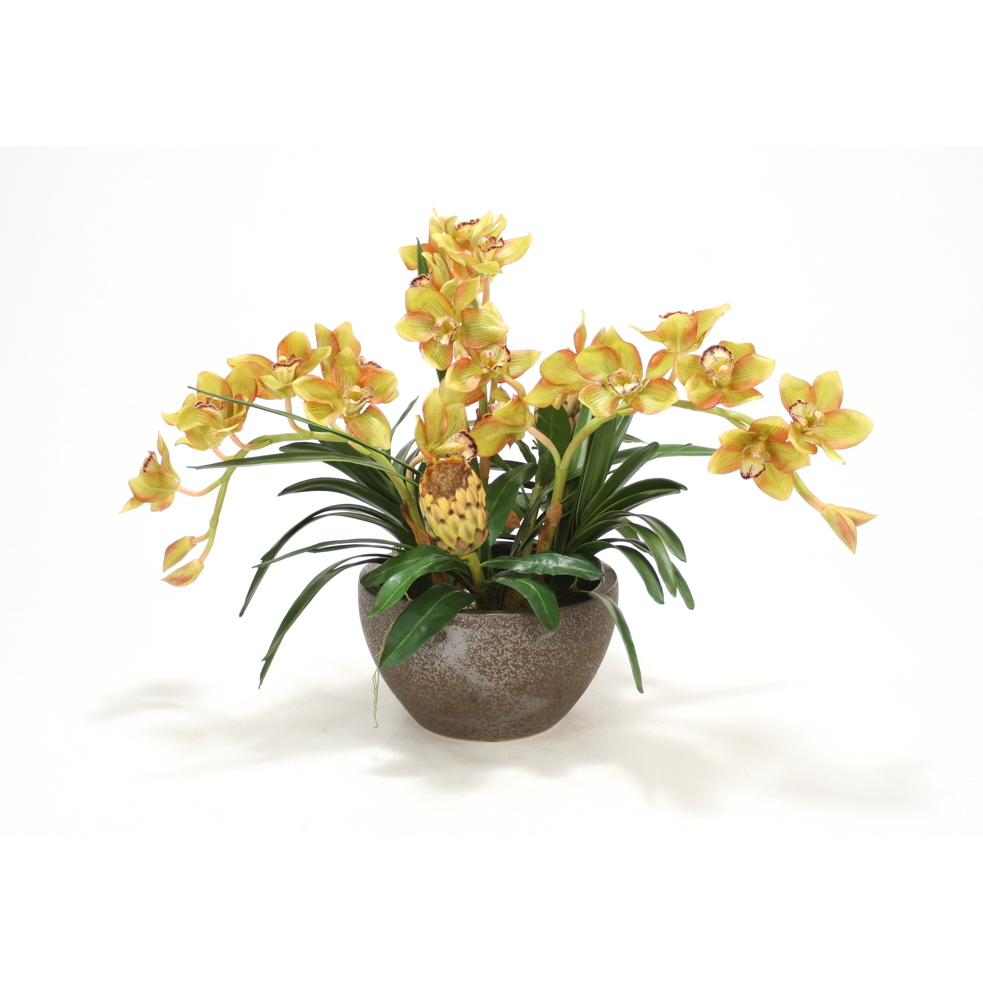 Distinctive Designs Green Cymbidium Orchid with Foliage in Large ...