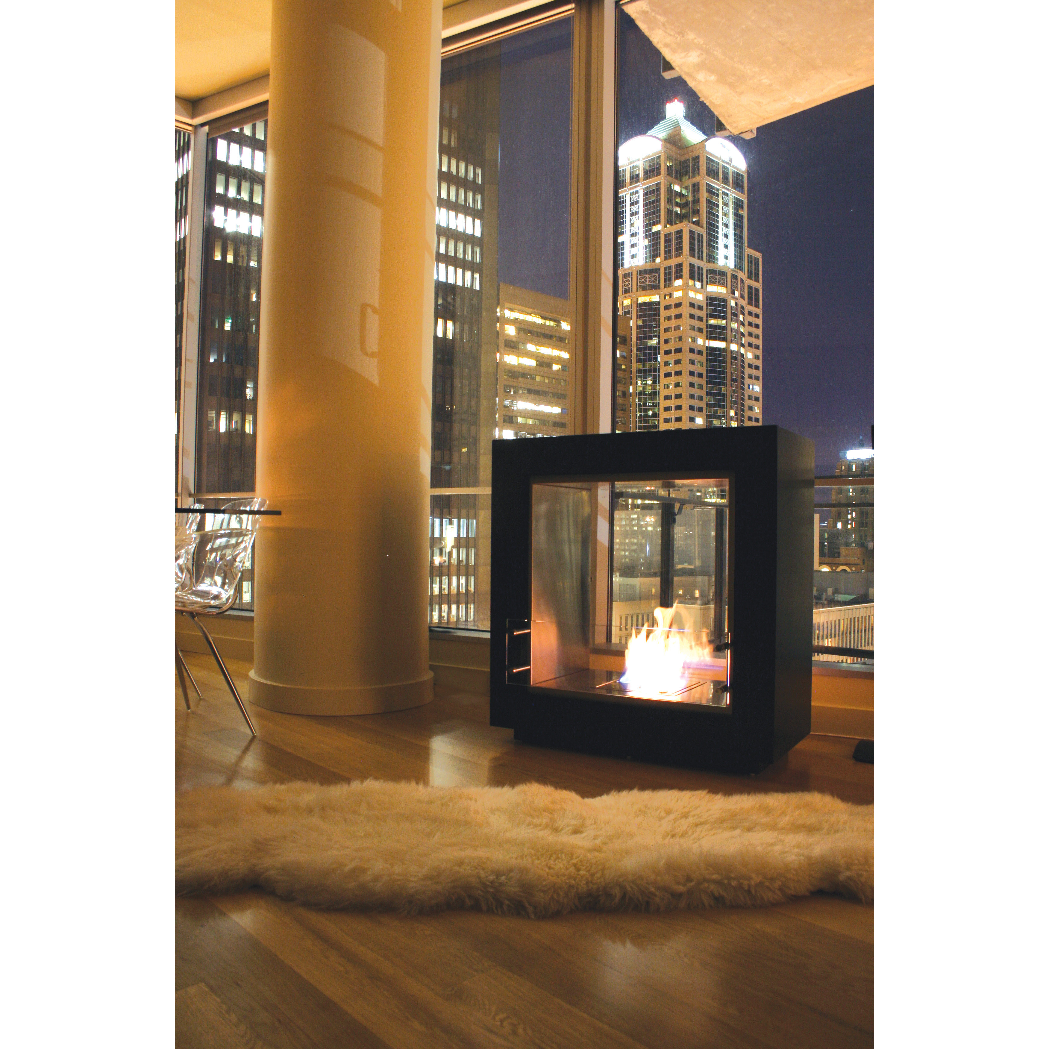 EcoSmart Fire Fusion BioEthanol Fireplace Wayfair