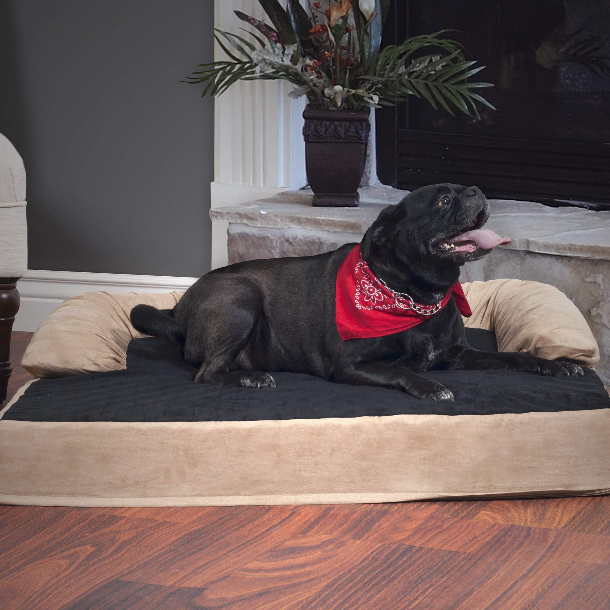 PAW Pet Bed with Bolster & Reviews Wayfair
