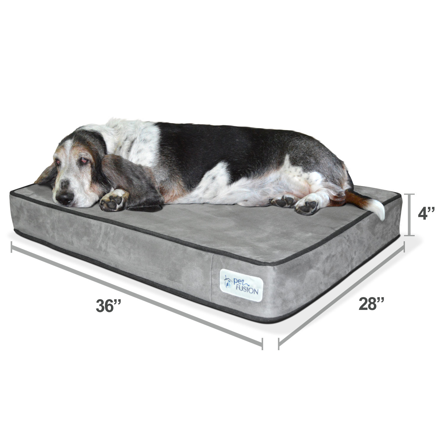 PetFusion Serenity Lounge Dog Bed Solid 4" Memory Foam Wayfair