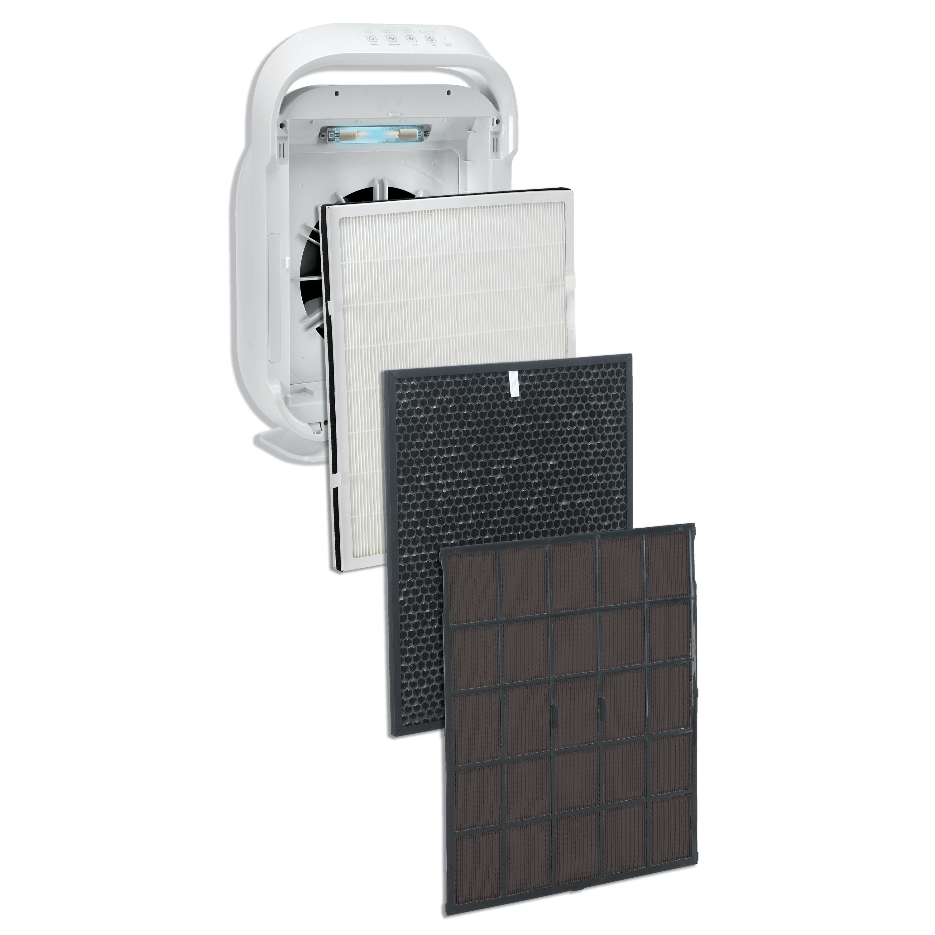 potty step stool for adults