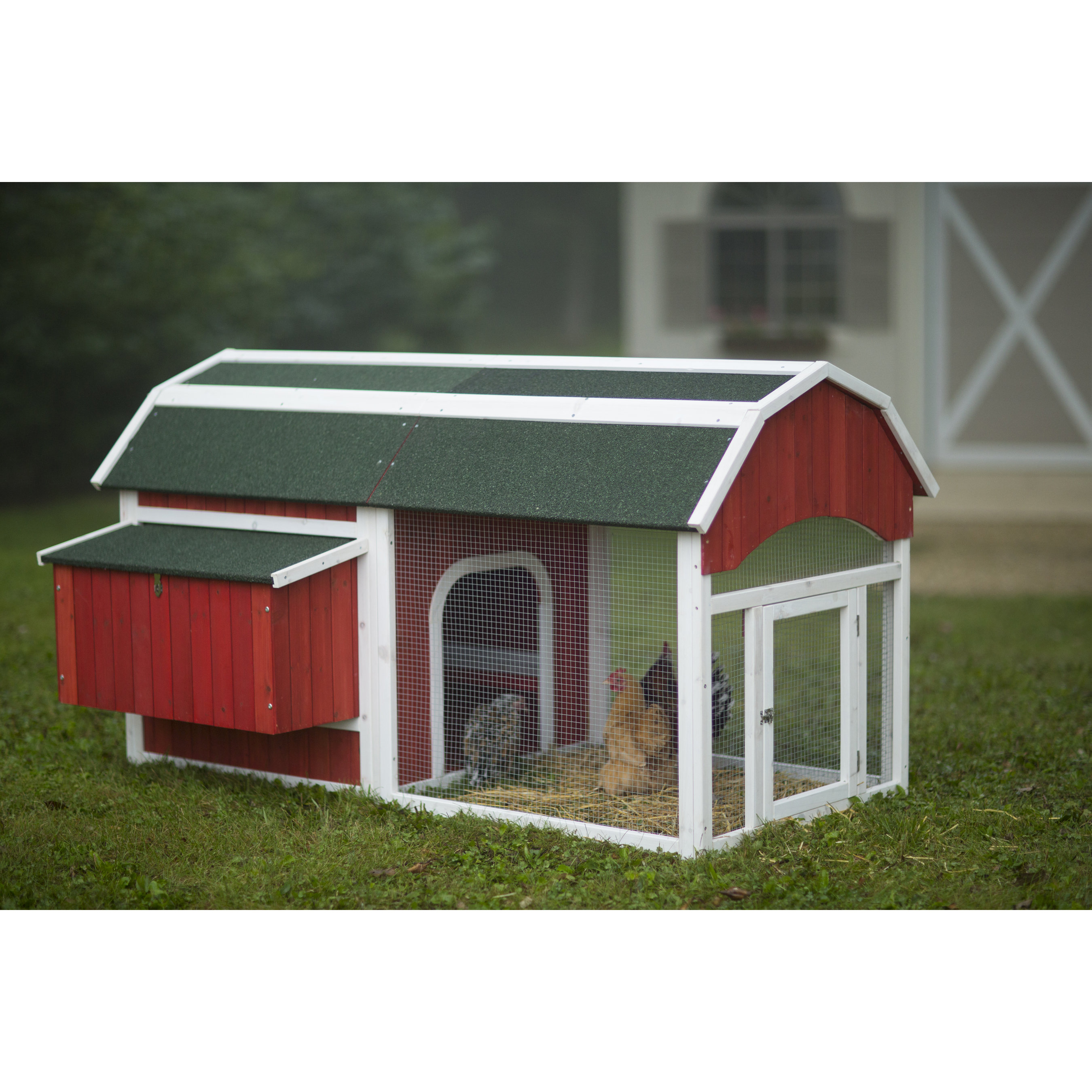 Prevue Hendryx Red Barn Small Chicken Coop &amp; Reviews Wayfair