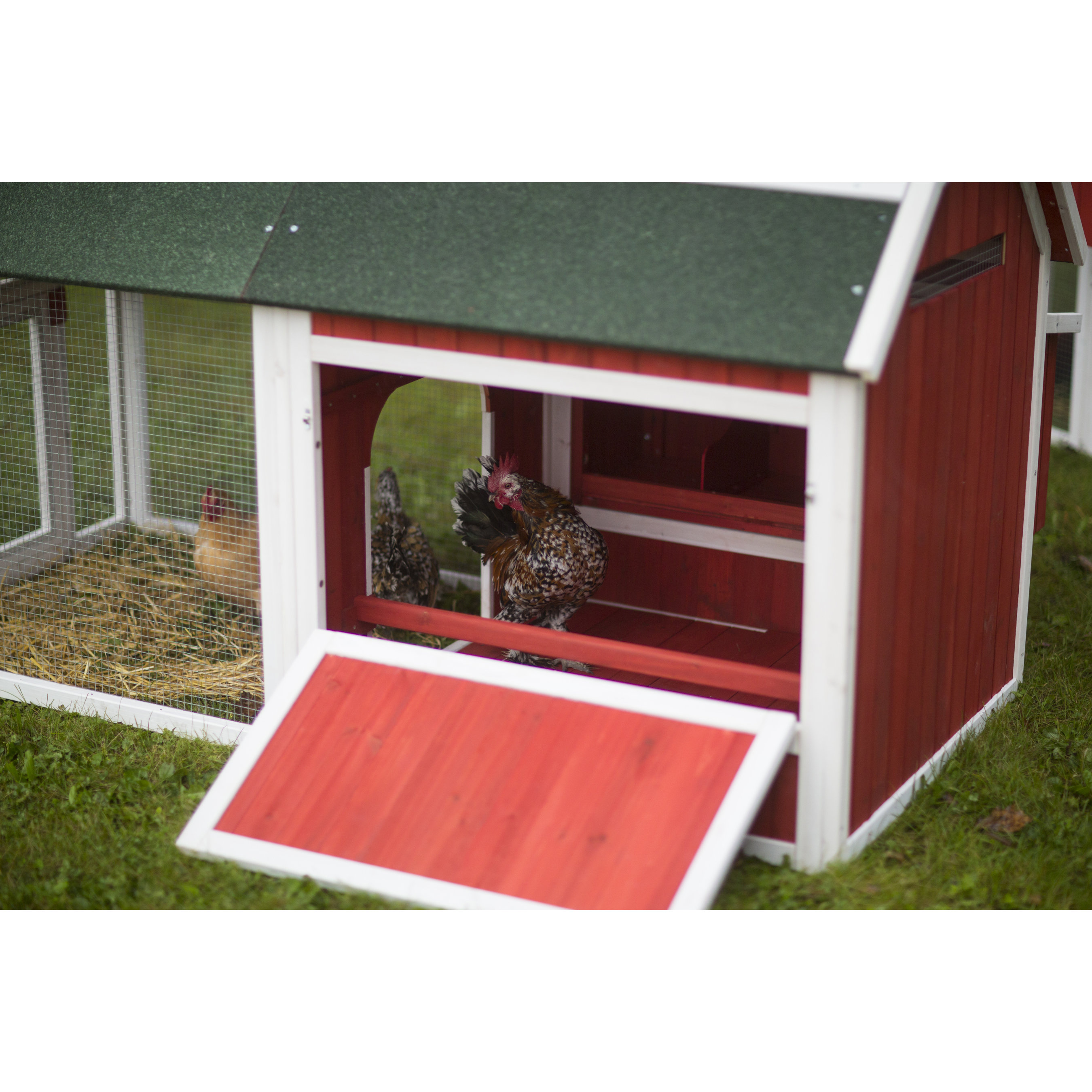 Prevue Hendryx Red Barn Small Chicken Coop & Reviews Wayfair