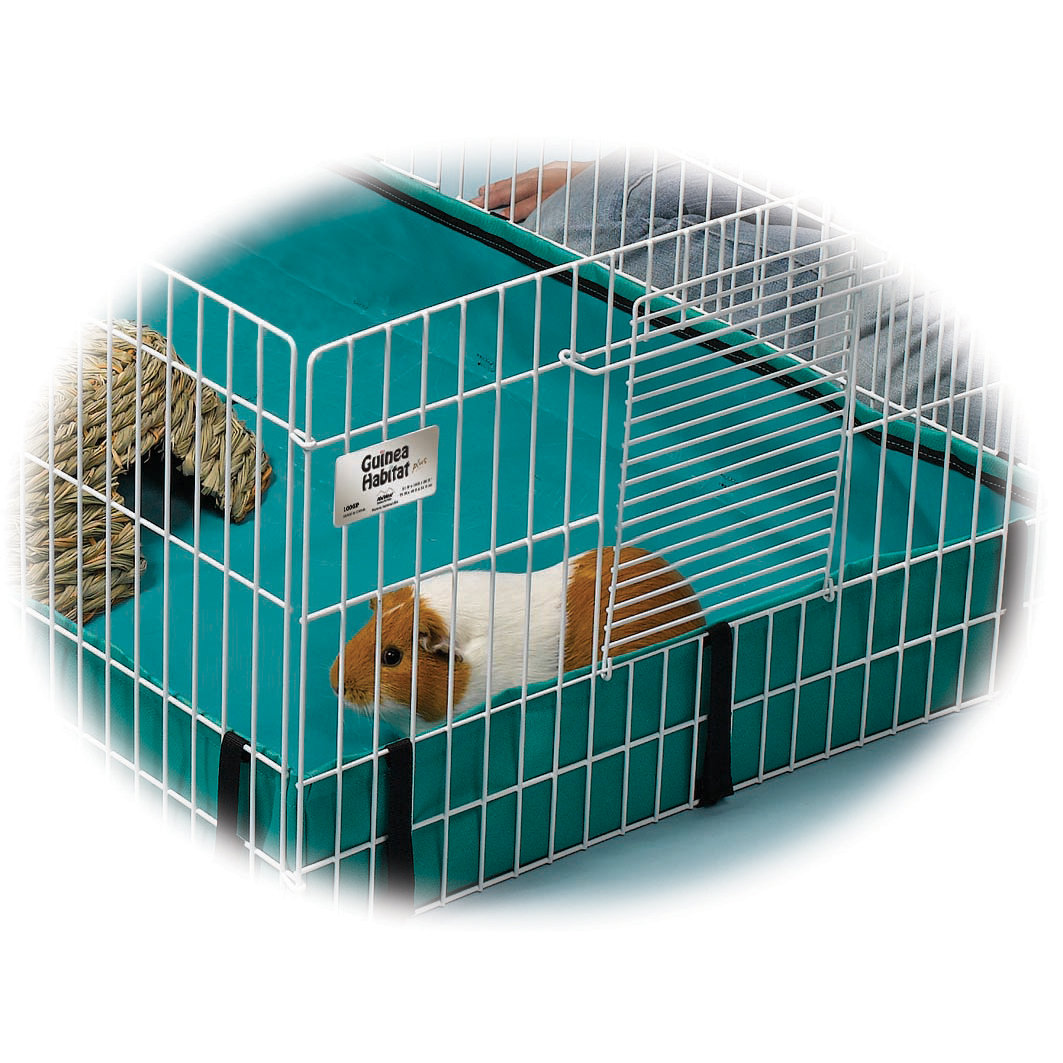 Midwest Homes For Pets Guinea Pig Playpen & Reviews Wayfair