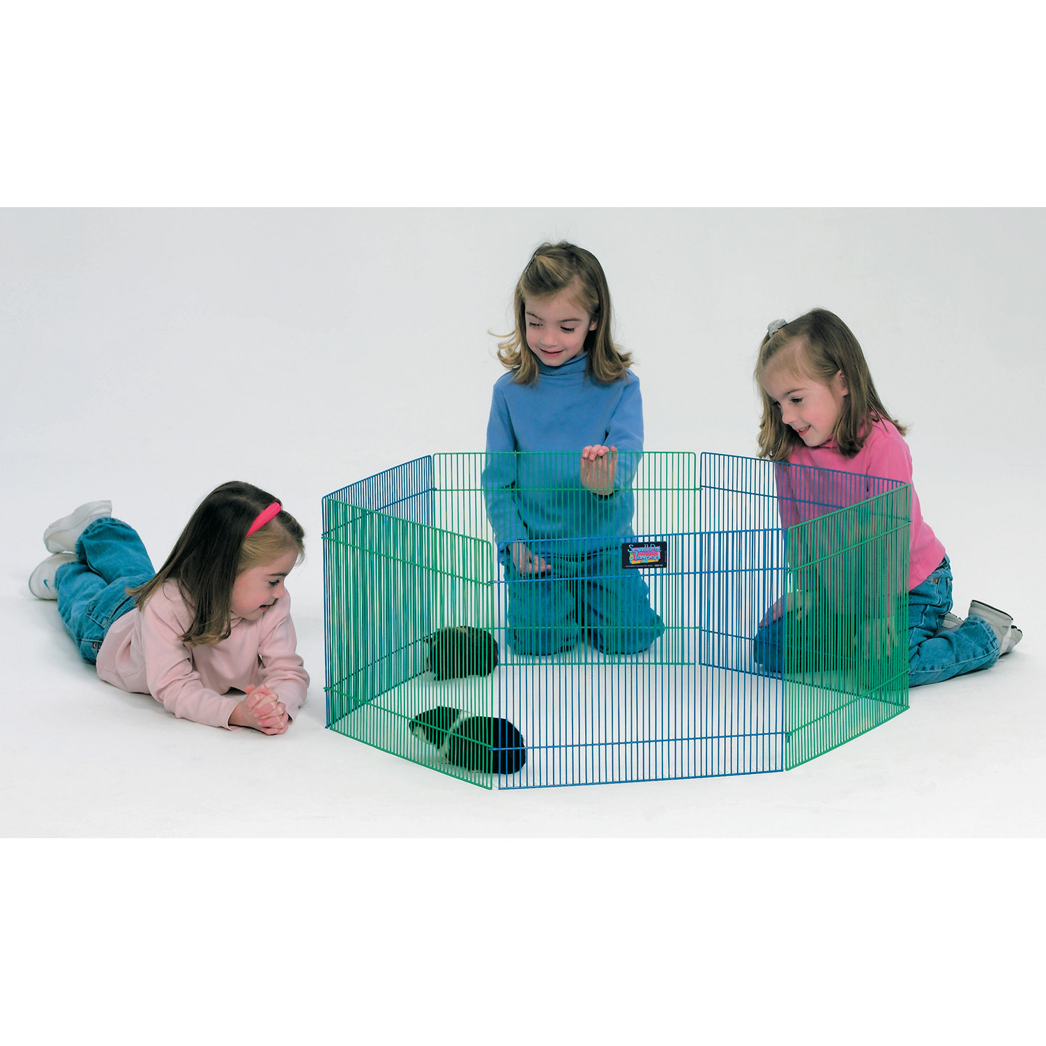 Midwest Homes For Pets Small Animal Playpen & Reviews Wayfair