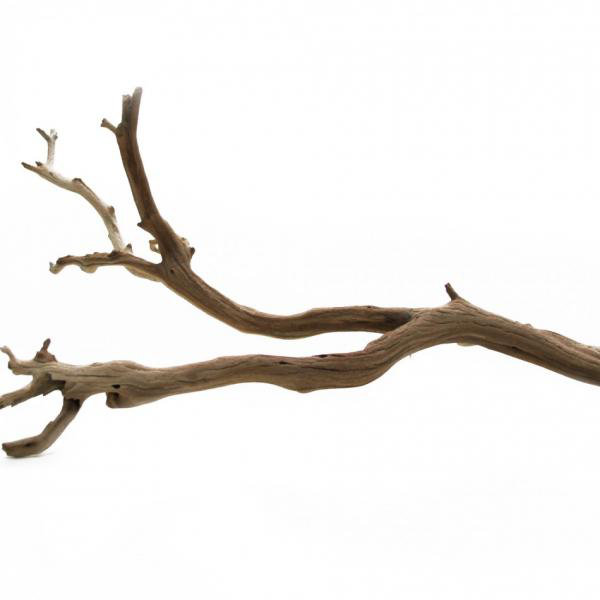 Koyal Wholesale Decorative Natural California Driftwood Branch