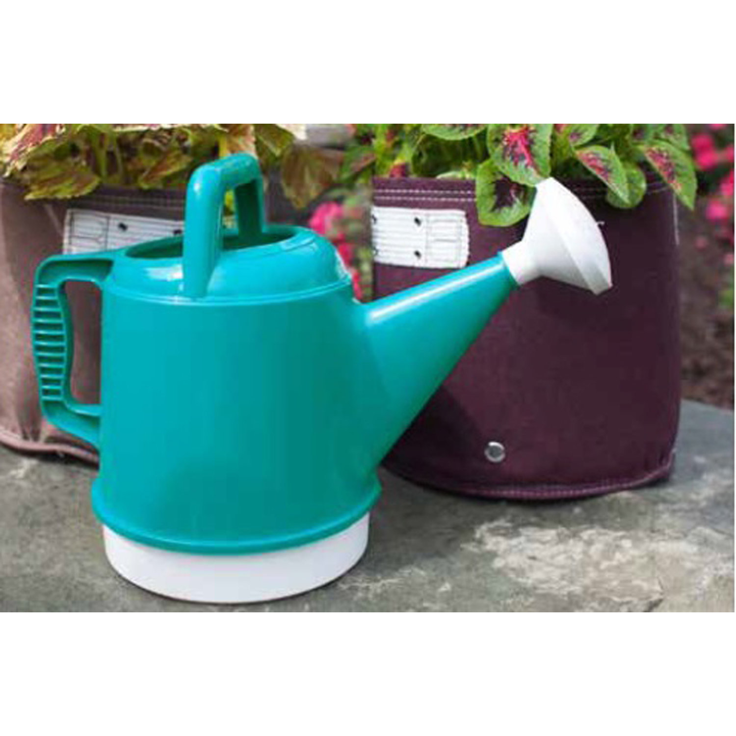 Bloem Deluxe 2.5 Gallon Watering Can & Reviews Wayfair