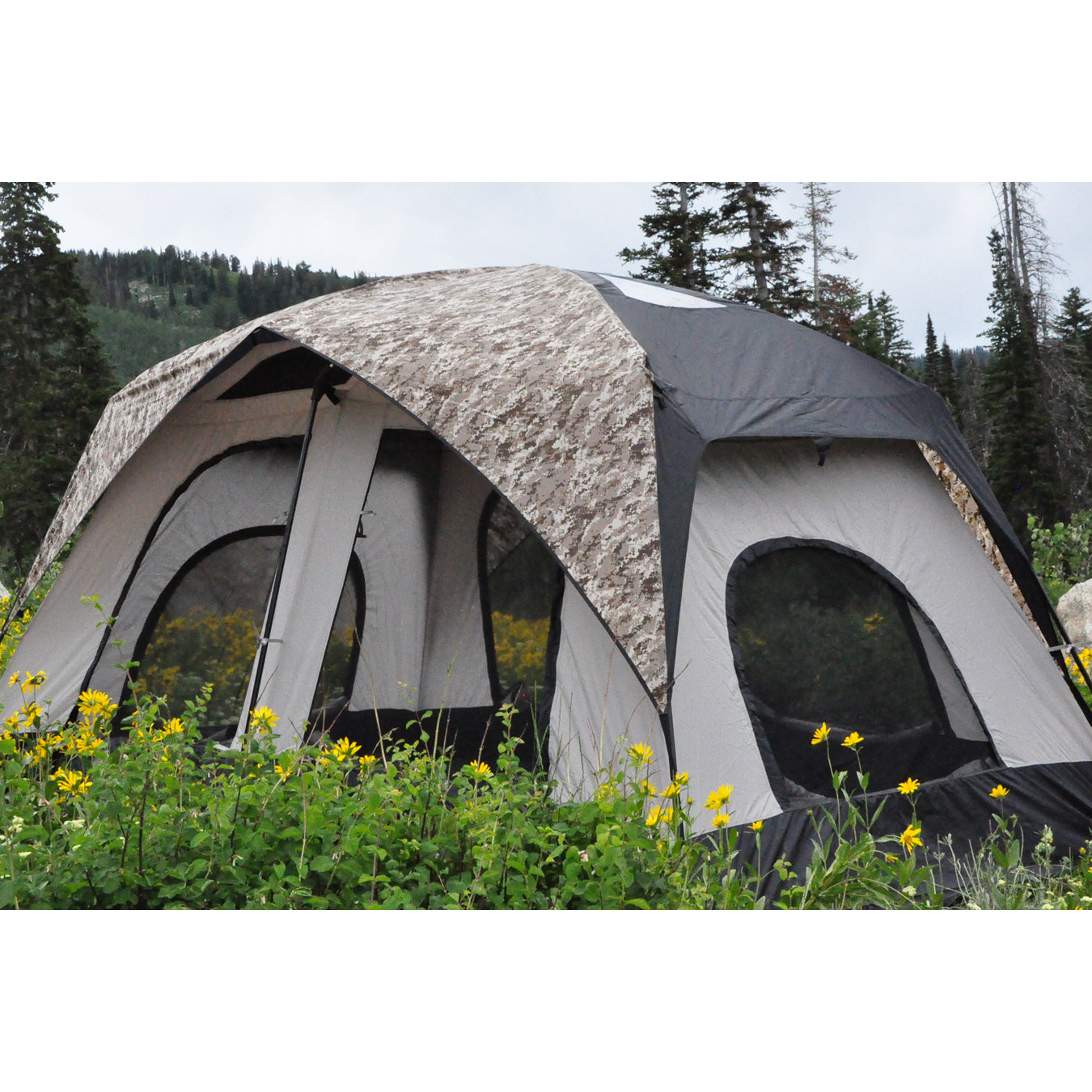 Black Pine Pine Cabin 8 Person Tent & Reviews Wayfair