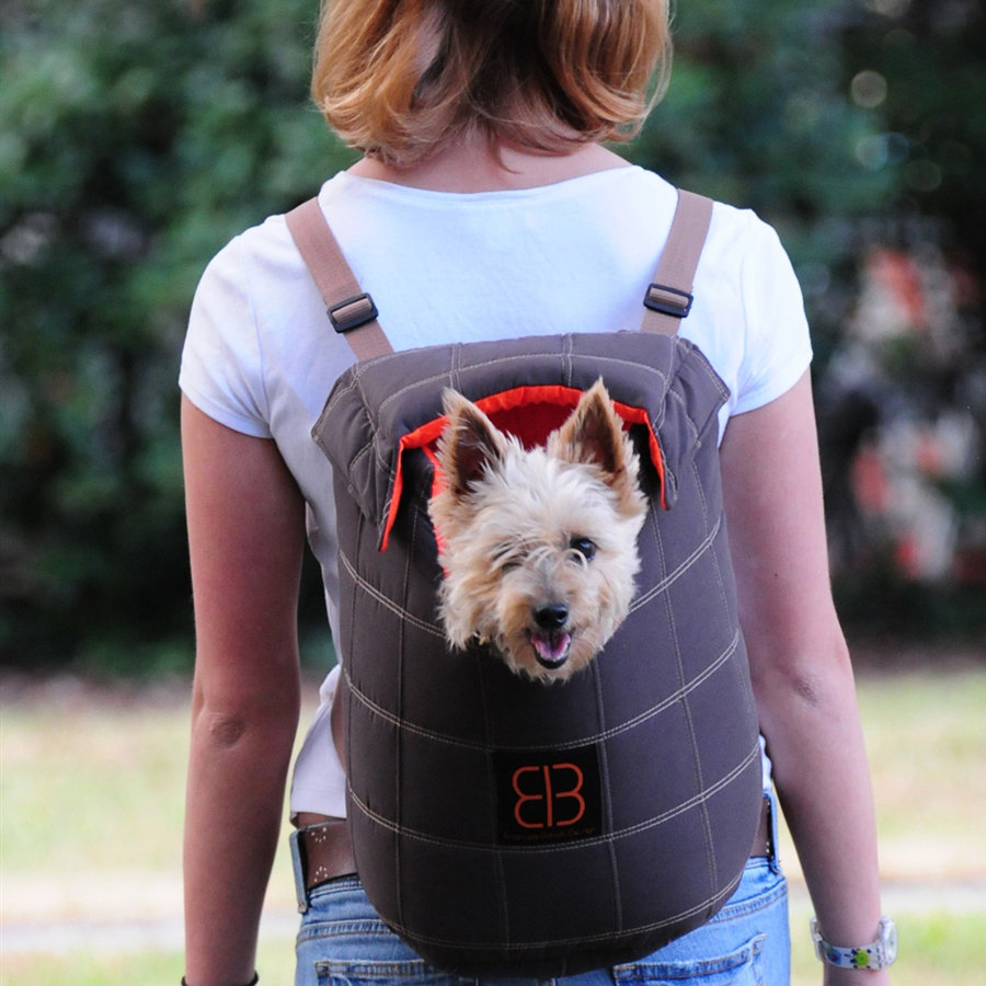 PetEgo Lenis Pack Front Pet Carrier & Reviews Wayfair